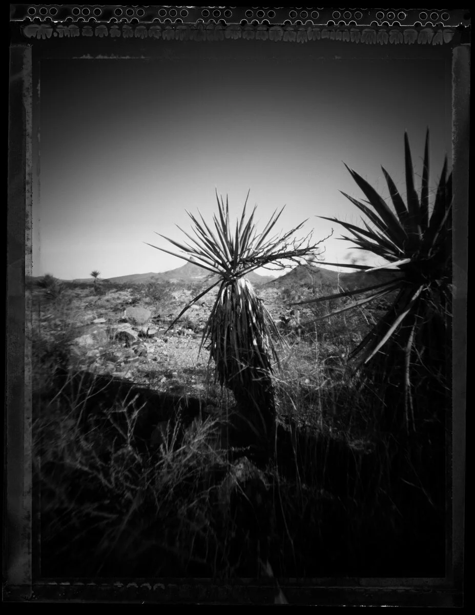 10_Arizona_1.jpg