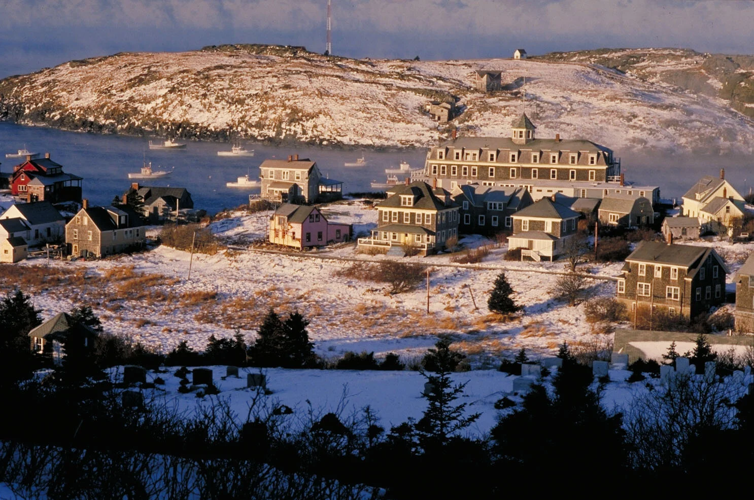 IMG0017.jpg