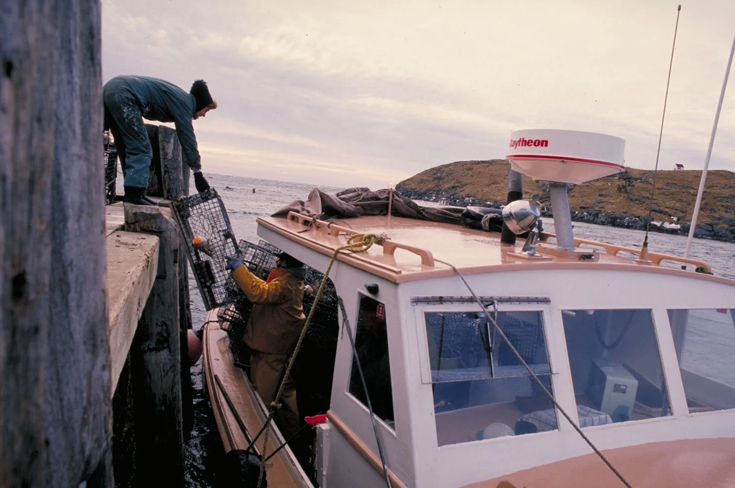 IMG0034.jpg