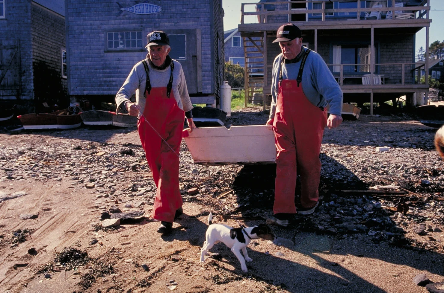 IMG0037.jpg