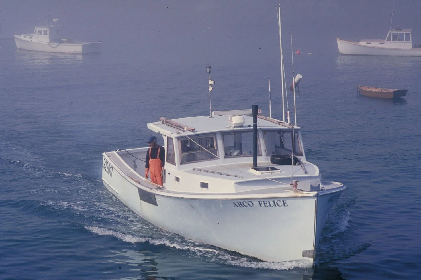 IMG0029.jpg