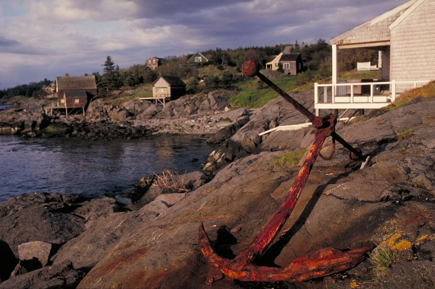 IMG0012.jpg
