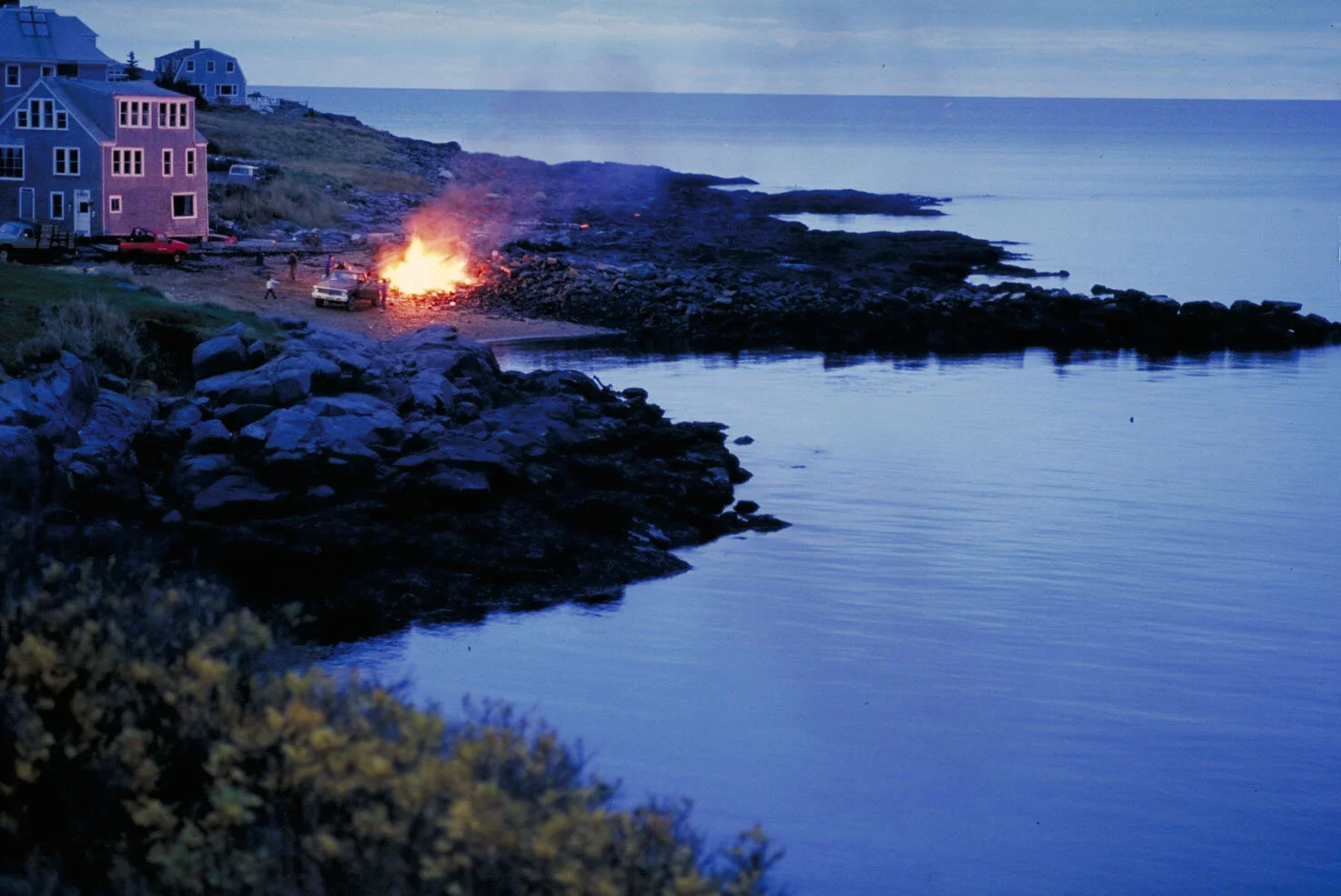 IMG0006.jpg