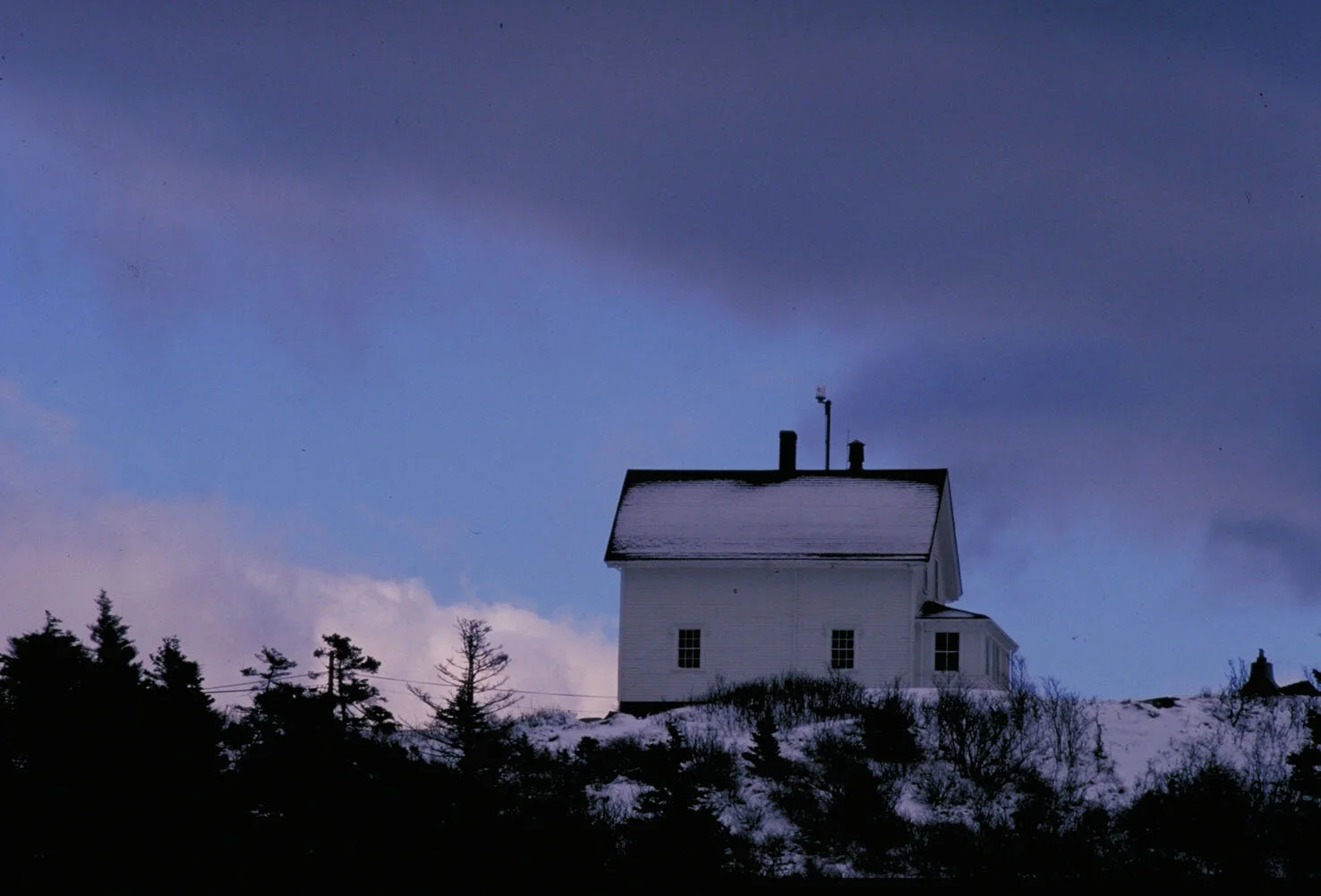 IMG0019.jpg