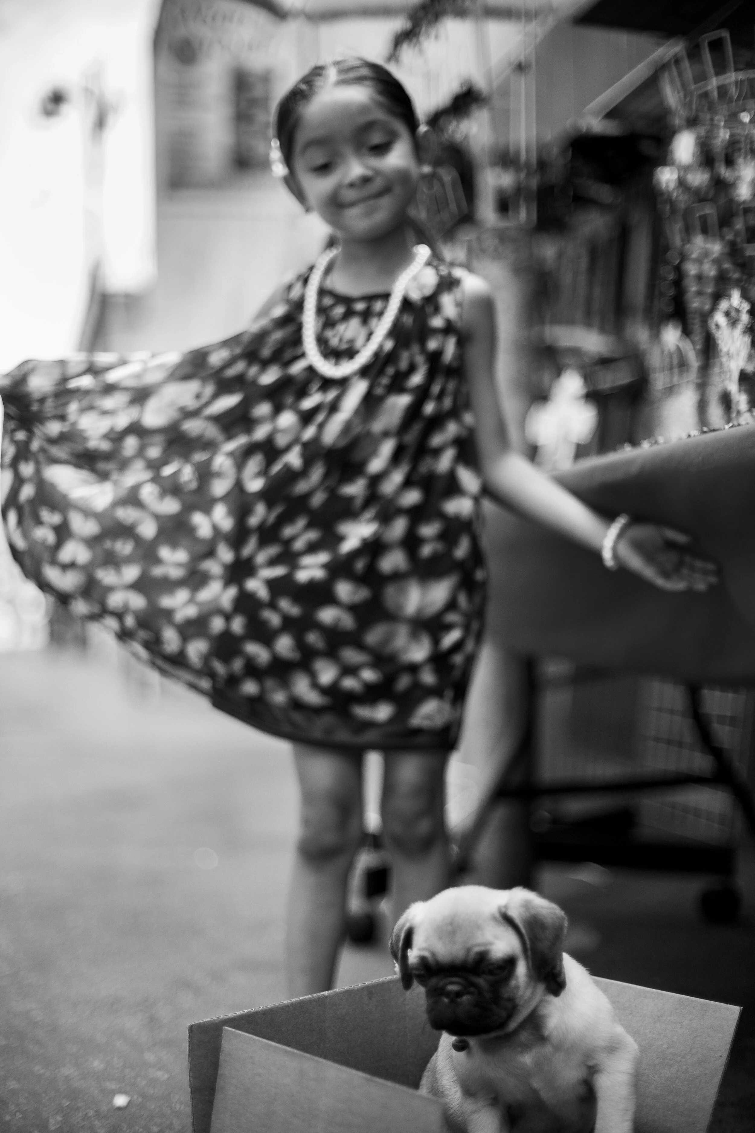 156_DT_2017_1624.jpg