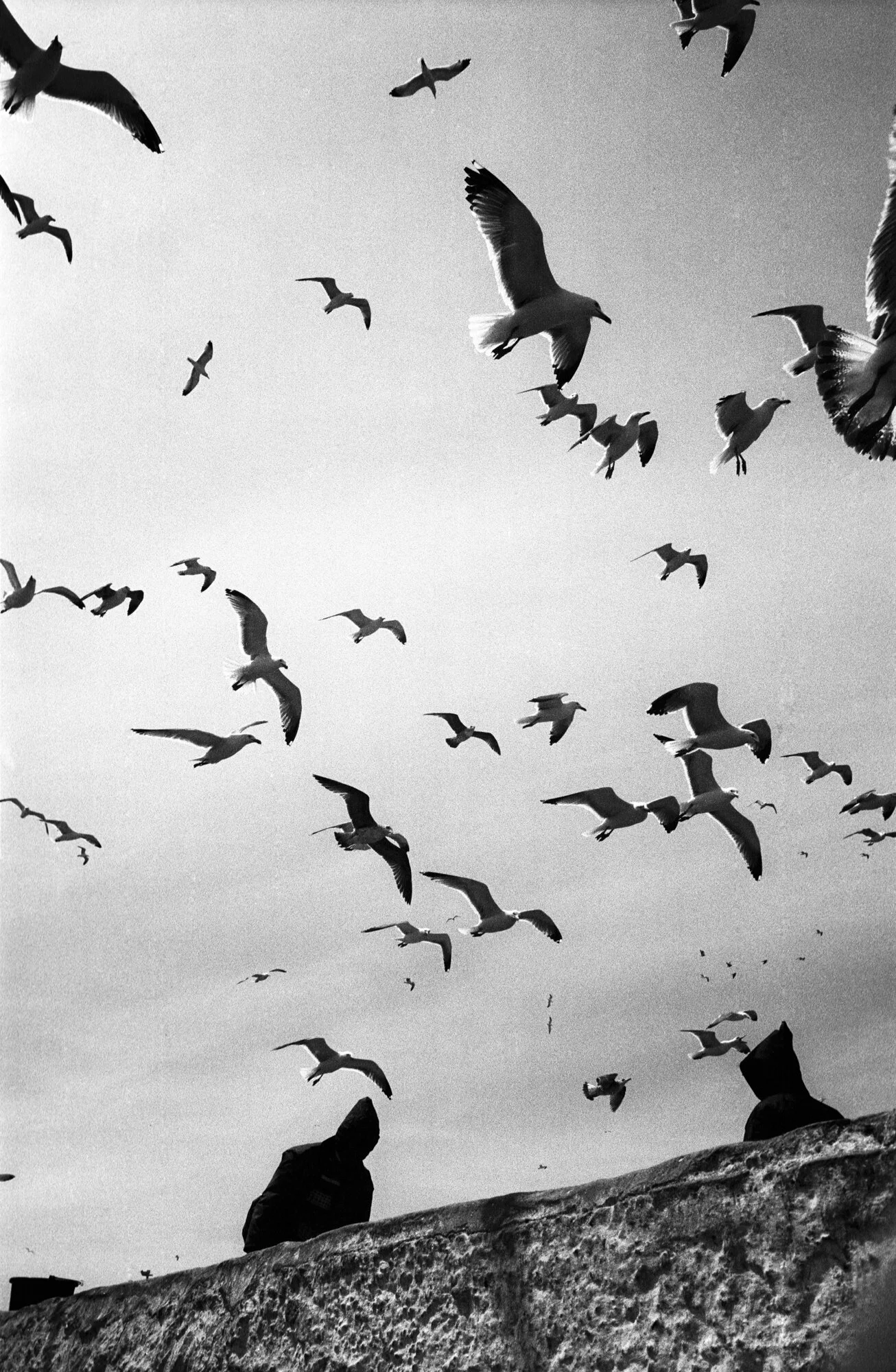 106_The World in B&W.jpg