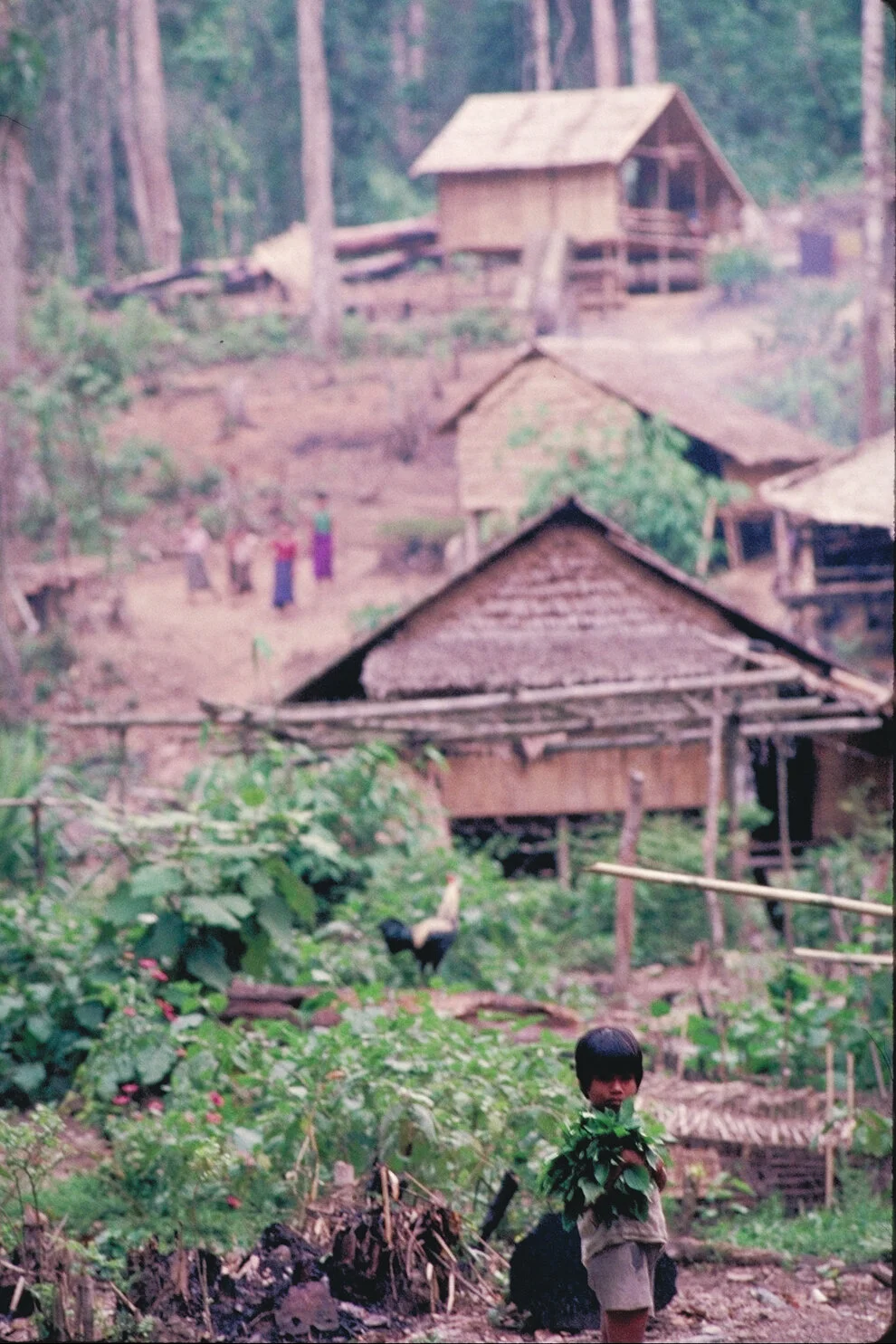 Burmese Refugee Camp_04.jpg