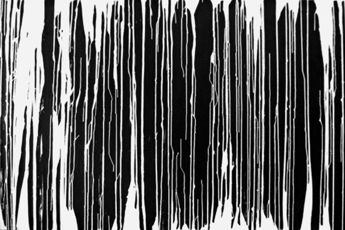 Black.White, 2004. Oil and canvas. 60 inches x 84 inches. Private Collection.