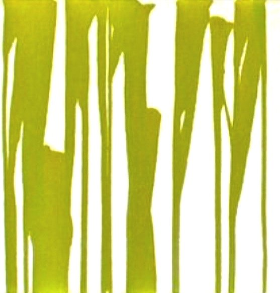 Yellow.Green, 2004. oil on canvas. 24 inches x 24 inches.