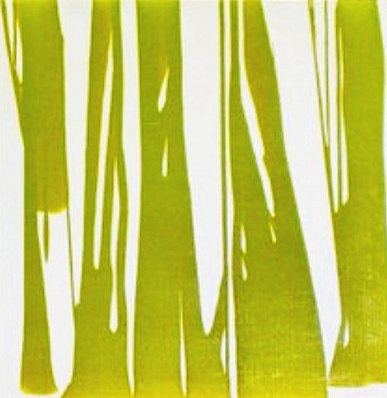 Yellow.Green, II 2004. oil on canvas. 24 inches x 24 inches.