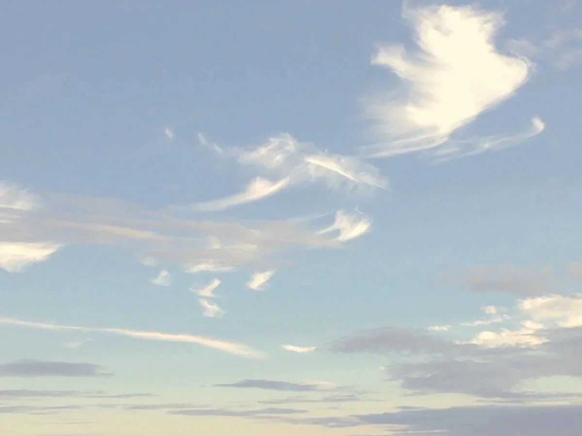 Kate_Beck_skyscape_2021.jpg
