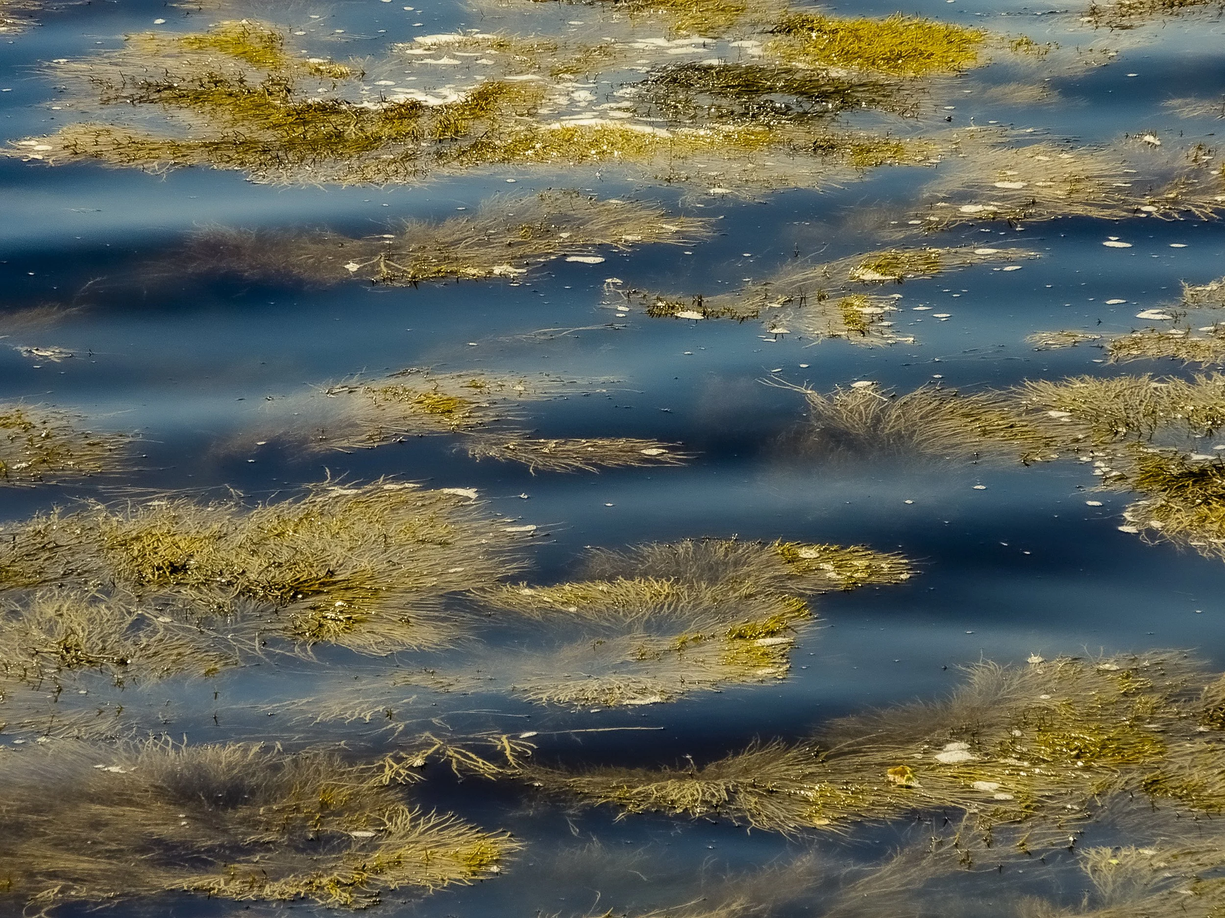 DSCN1053.jpg