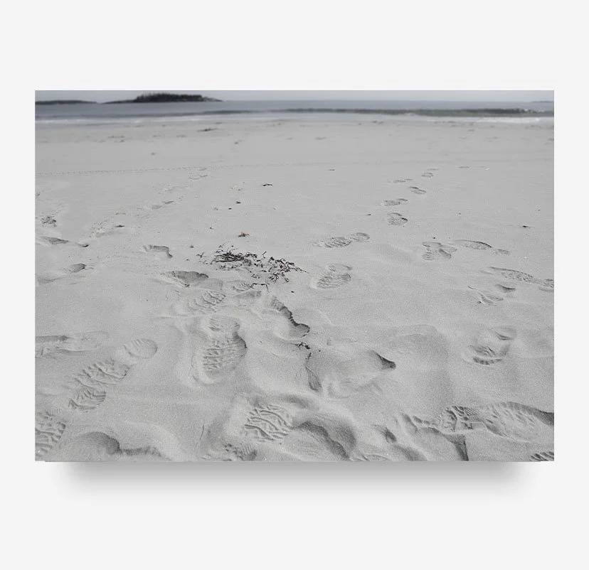 beach II copy.jpg