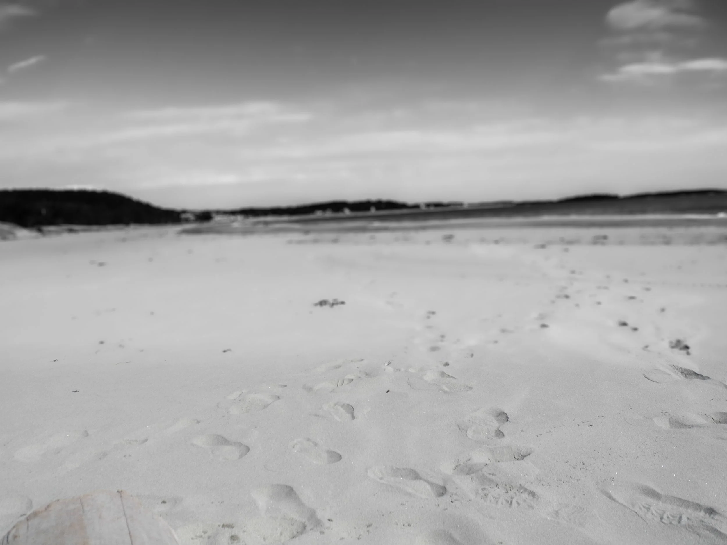 DSCN1099.jpg