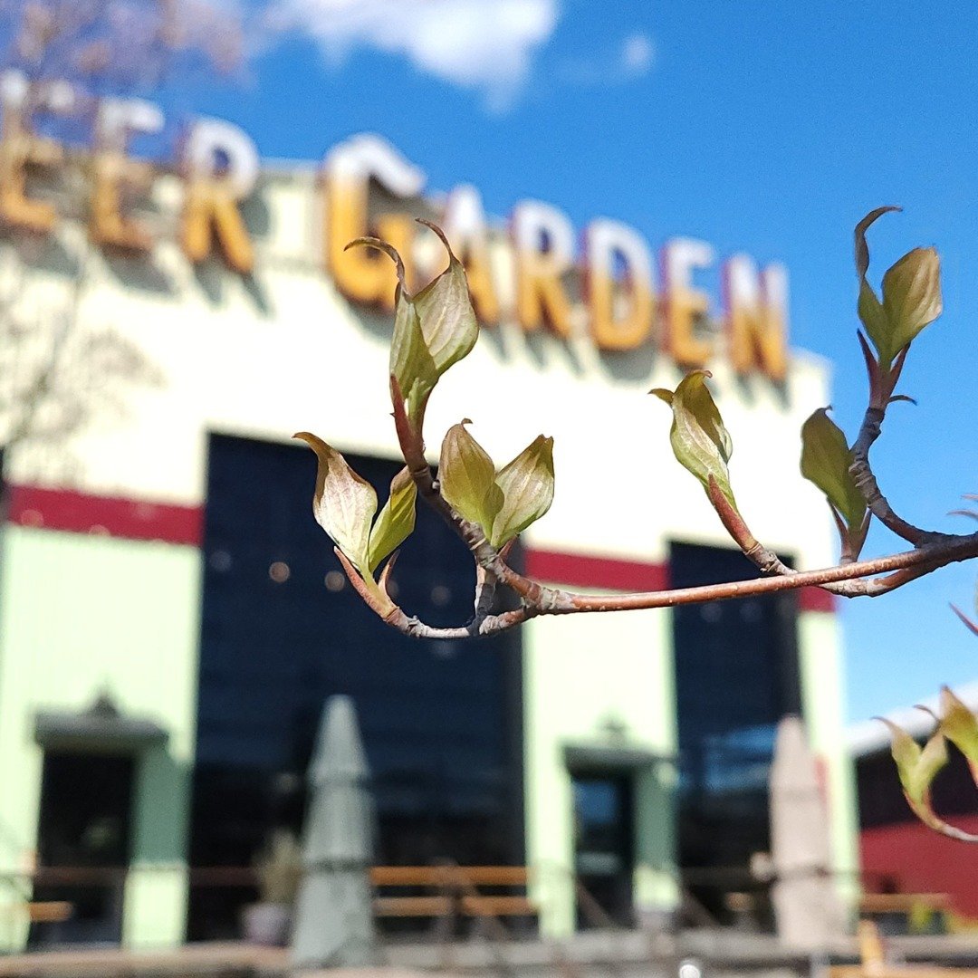 OMG! Have you seen the sunshine outside, today? It's days like these where our Beer Garden is THE place to be to soak up some much needed vitamin D! Our greenery seems to think so, too!☀️🌱

Come on by, grab a pint, and relax. We'll see you there! ❤?