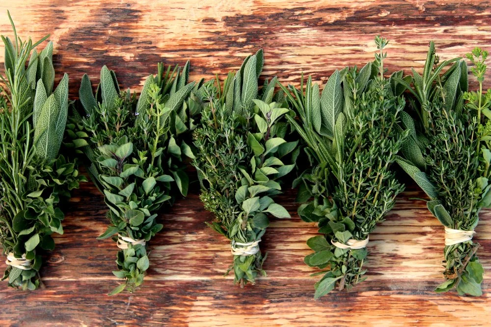 Scarborough Fair Parsley, Sage, Rosemary & Thyme with Geoff