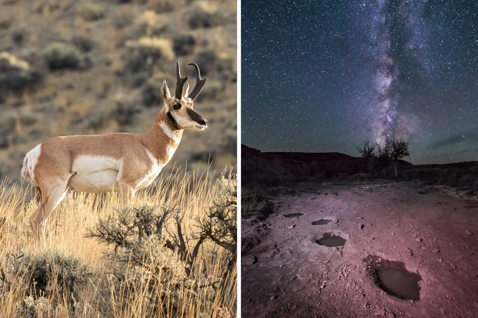 Black Mesa Is One of the Loneliest, Darkest Corners of America. That’s Exactly Why You Should Go.