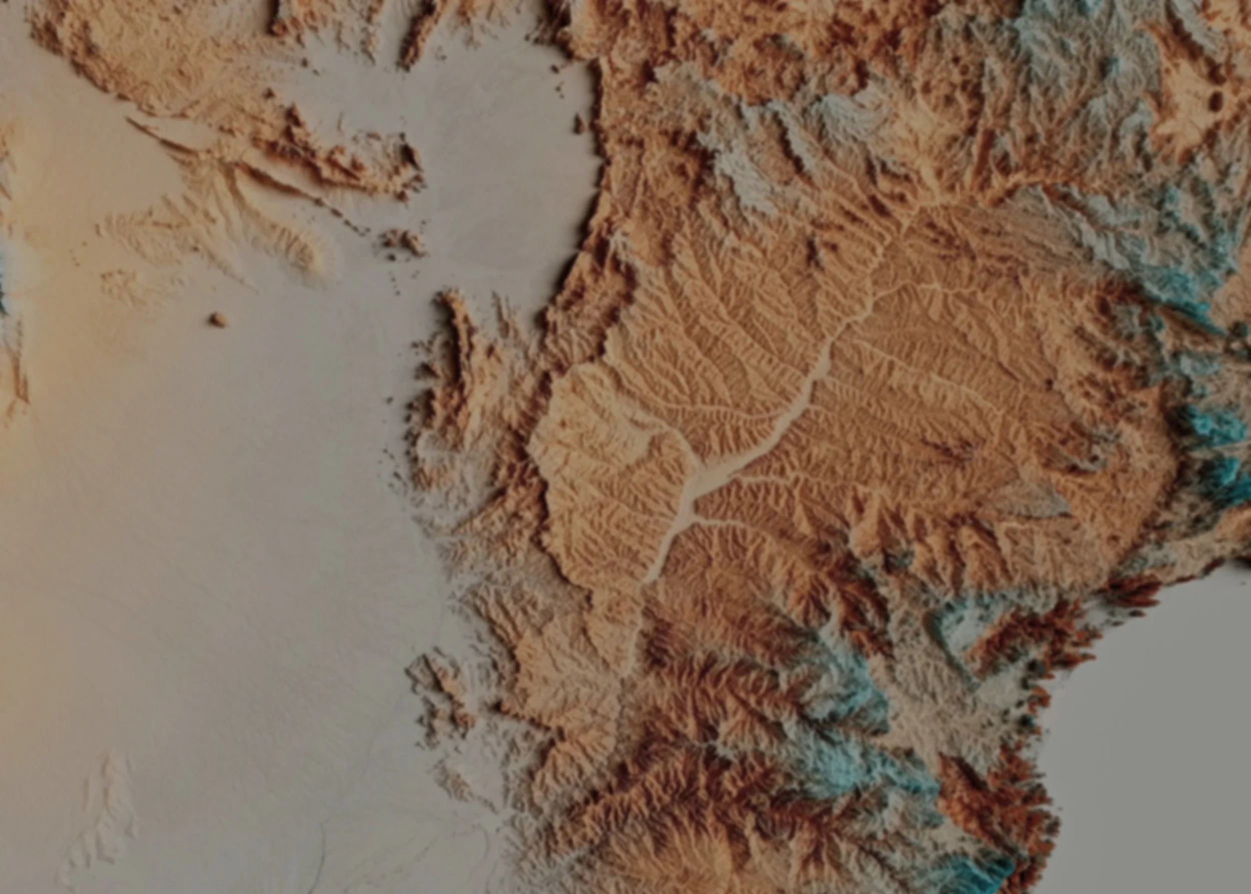 Picture of saturated terrain