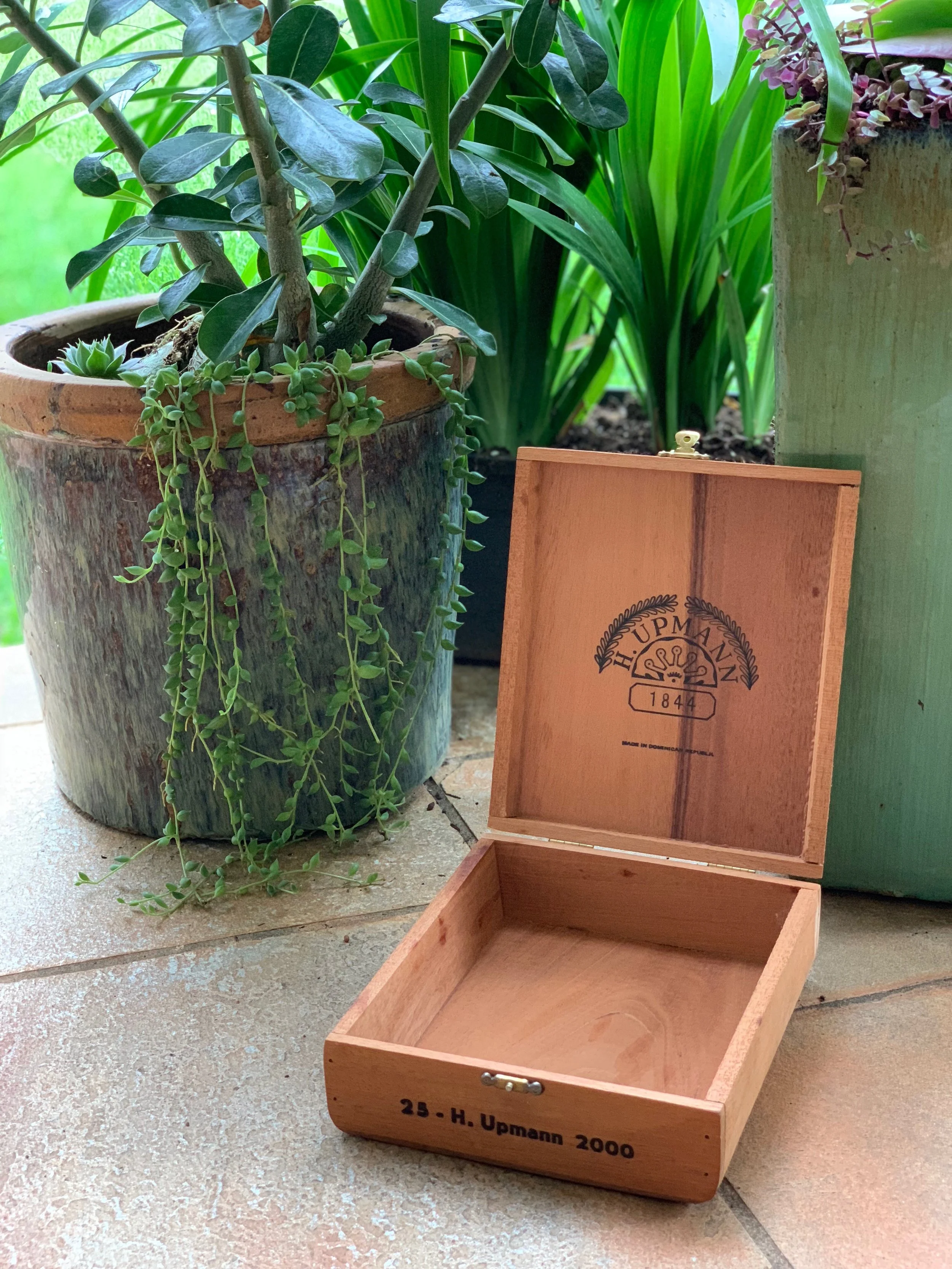 Antique Cigar Box // Qty: 1