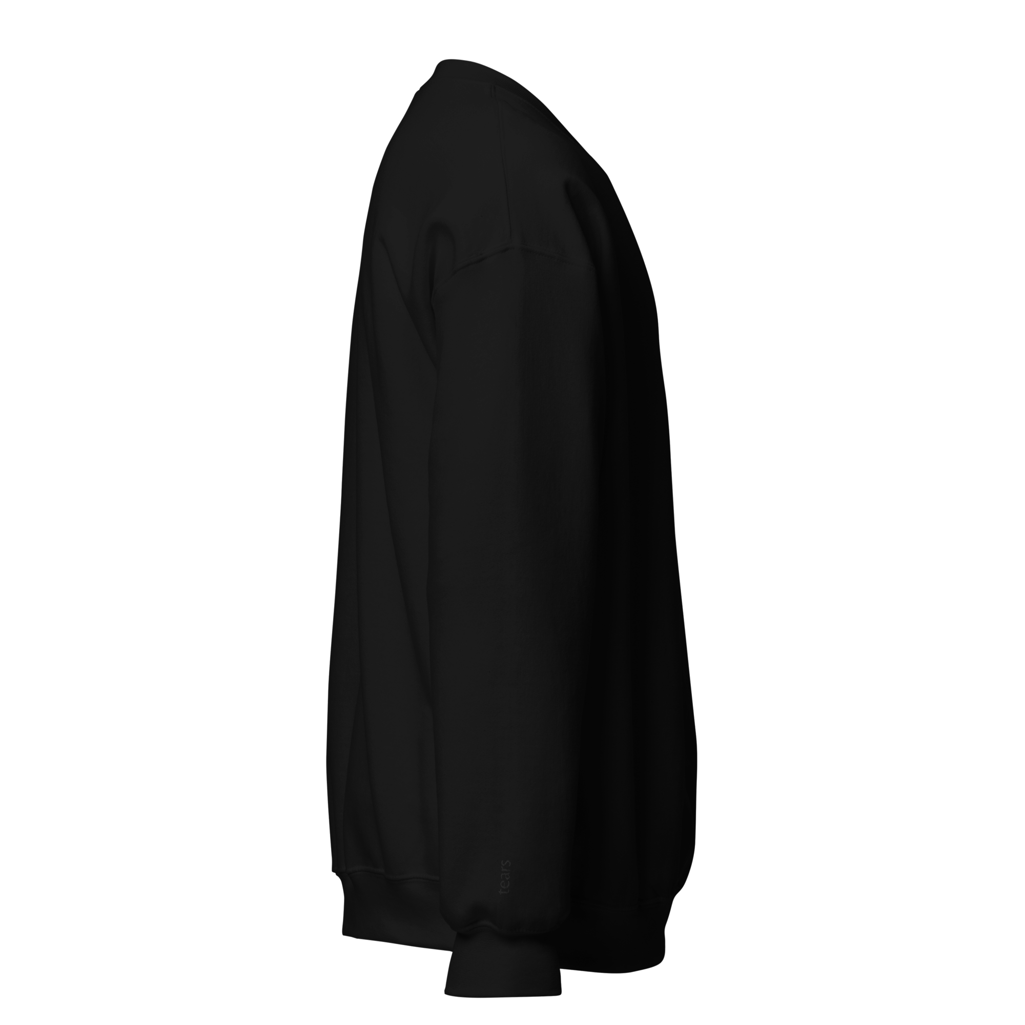 unisex-crew-neck-sweatshirt-black-right-6a7e344667de5.png