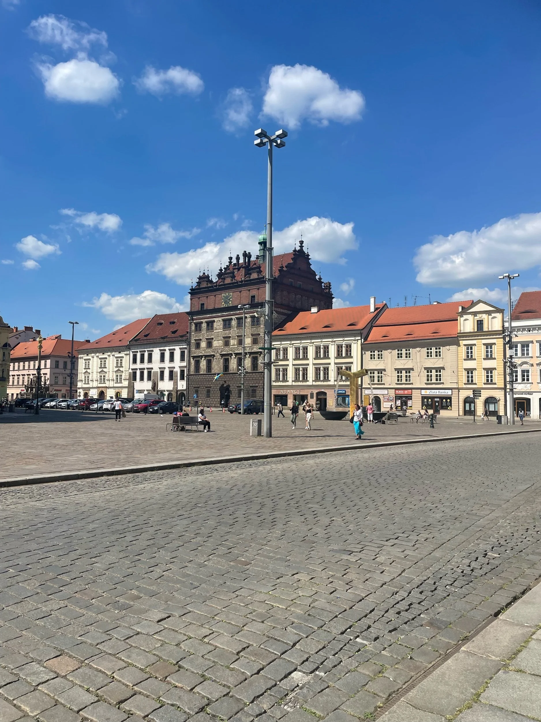 IMG_5019.jpeg