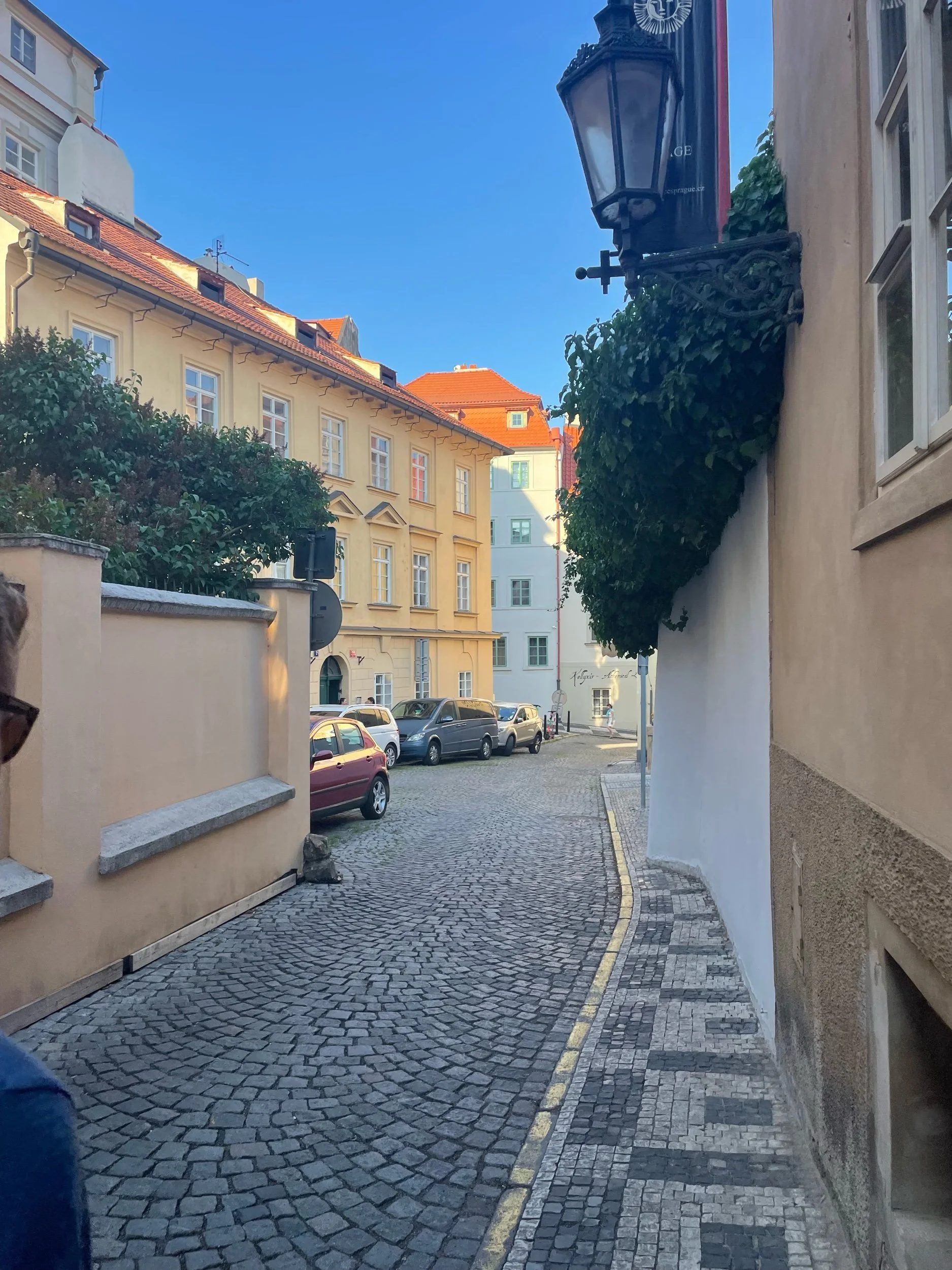 IMG_5045.jpeg