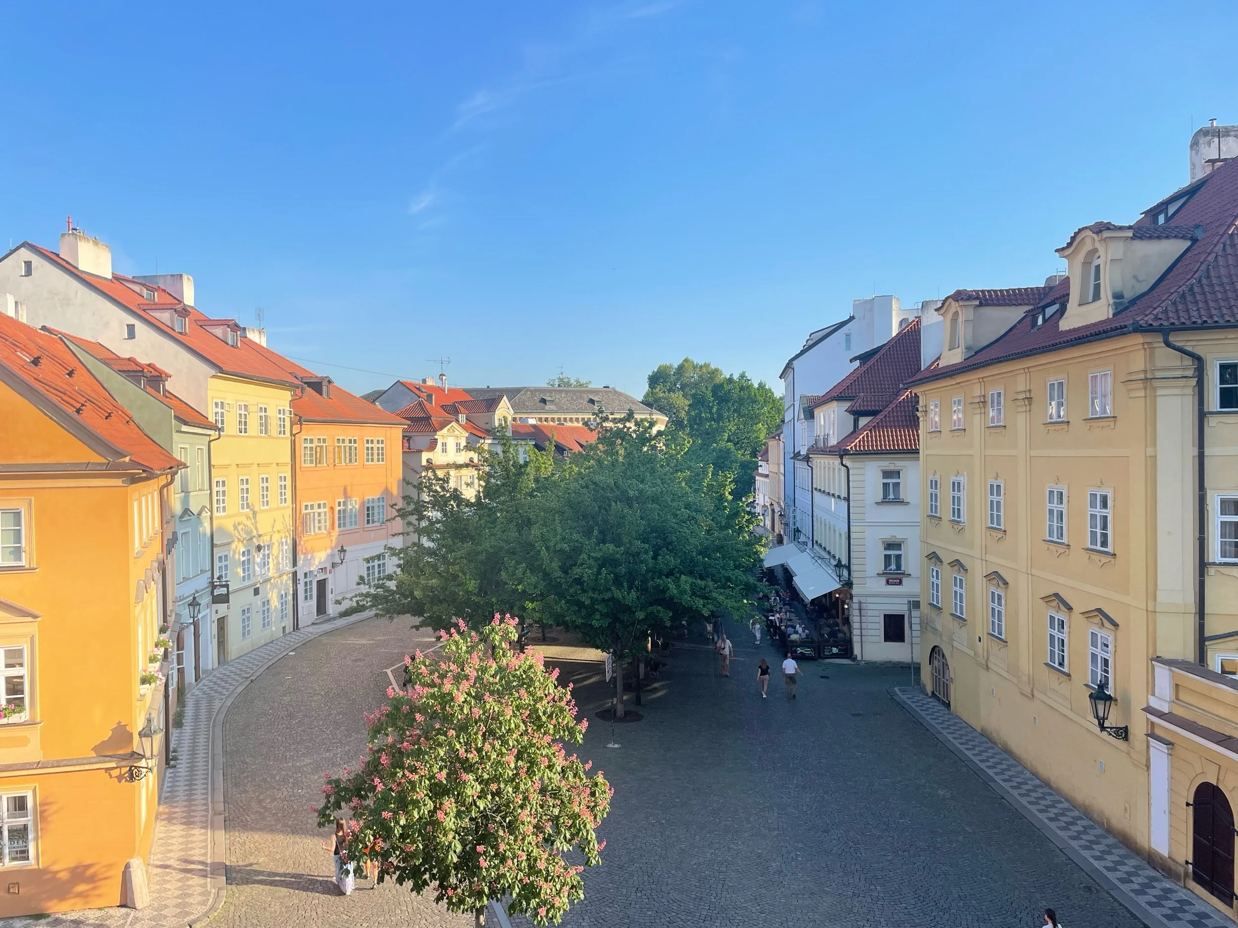 IMG_5075.jpeg