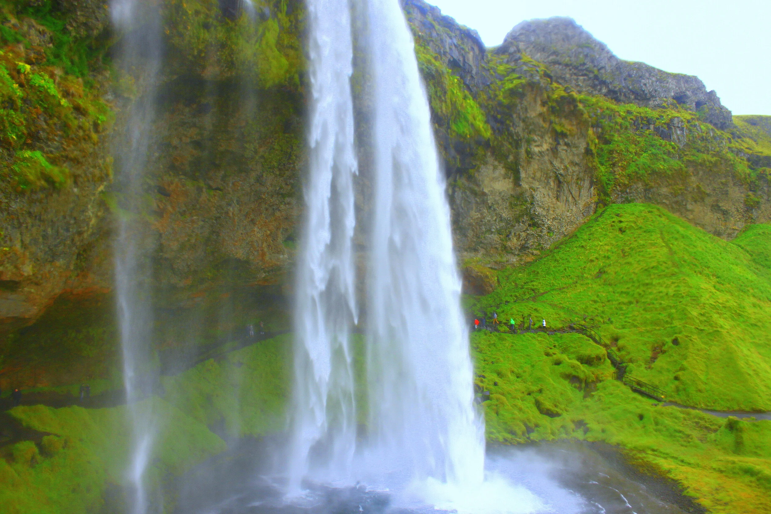 For CTV News Canada: How Iceland's booming tourism is transforming Icelandic cuisine