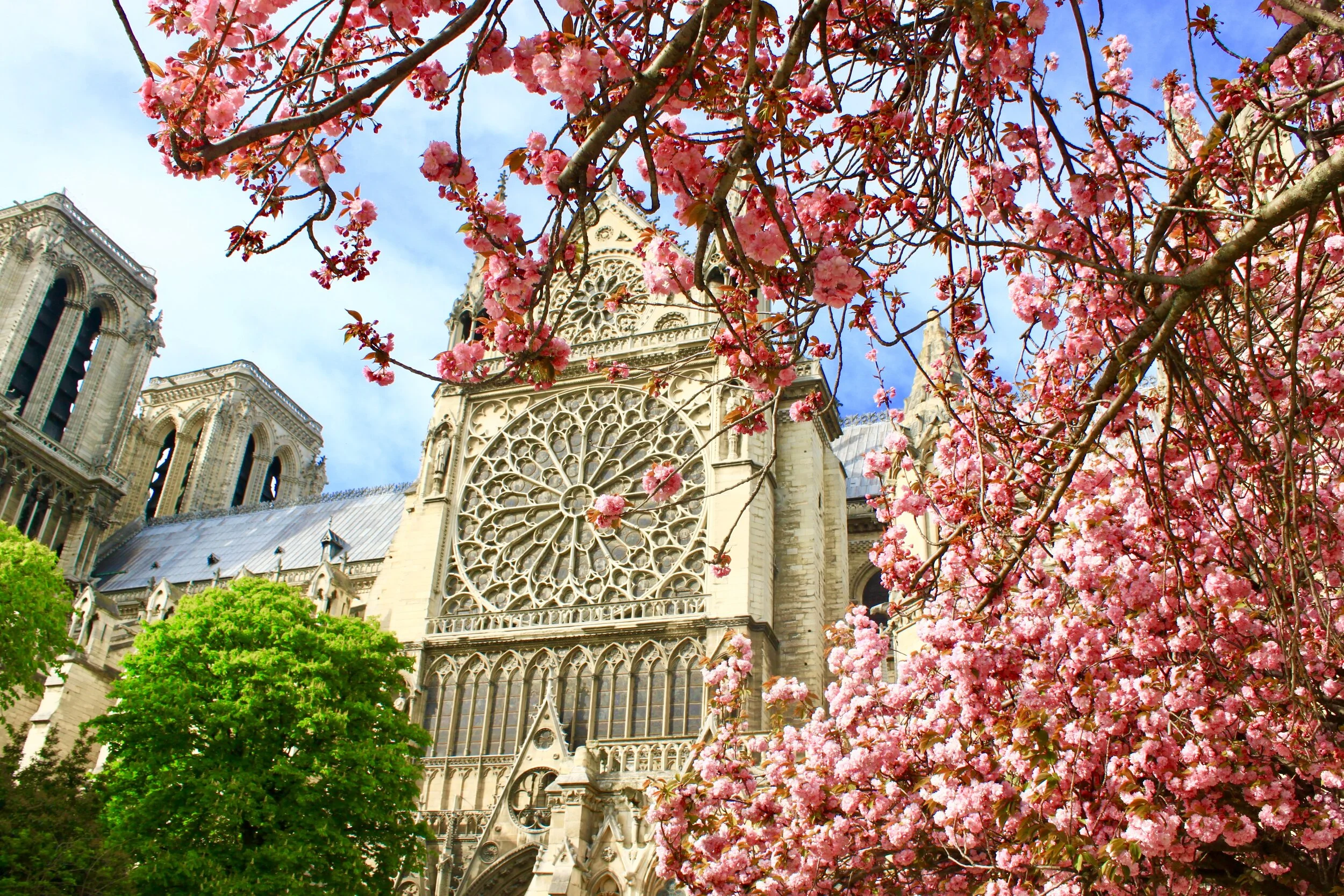 The Toronto Star: A lesson revealed in the burning of Notre Dame