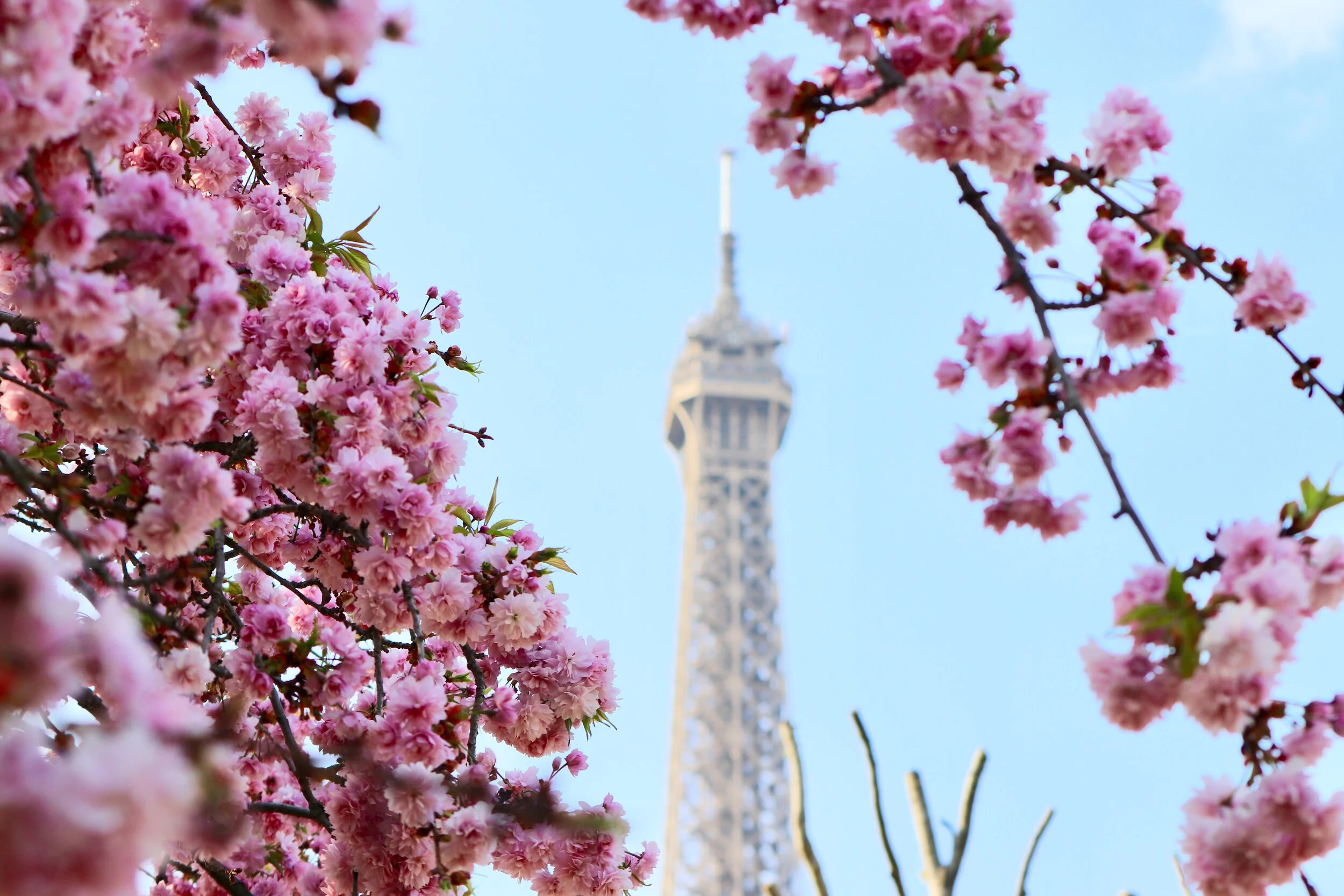 Fodor's Travel: Eiffel Tower 101: How to Make the Most of Your Visit to France’s Most Iconic Landmark
