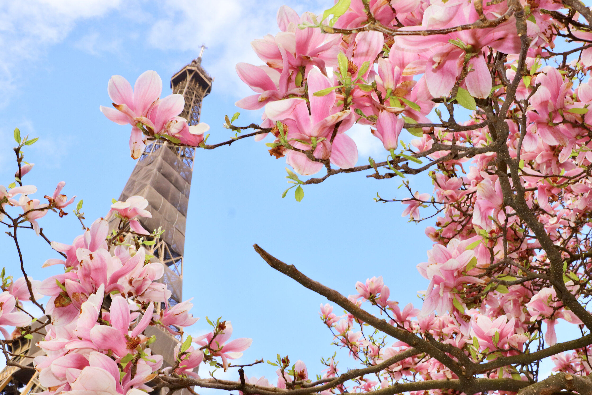 EnRoute magazine: What it's like to be in Paris now