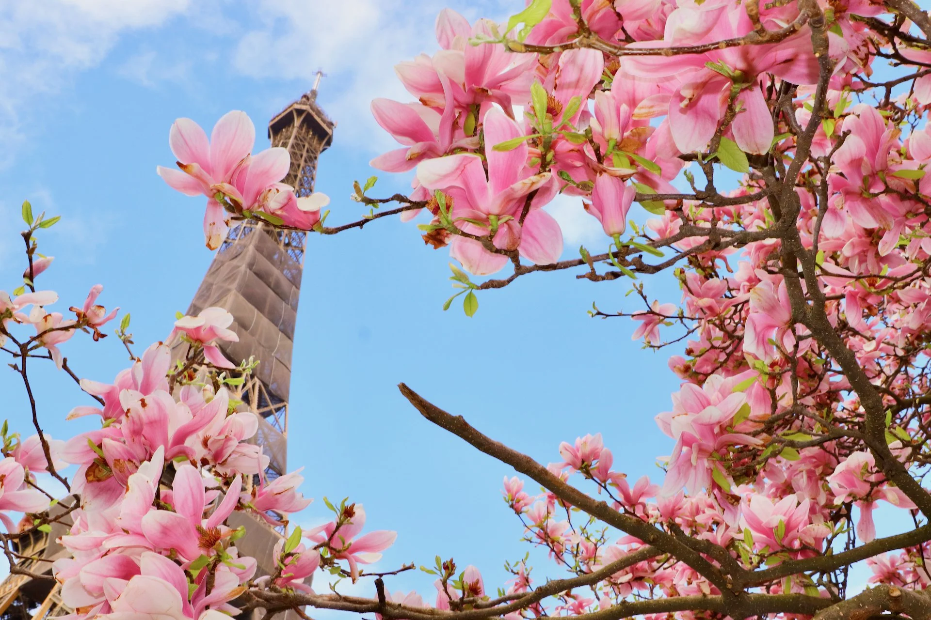 Chatelaine: Emily In Paris Season 2 Is Just As Glitzy—But A Tiny Bit More Realistic