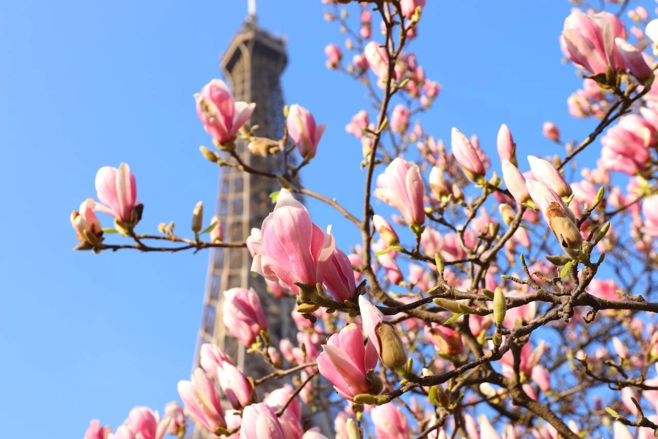 Chatelaine: I Pulled A Real-Life Emily In Paris. Here’s What It Was Really Like