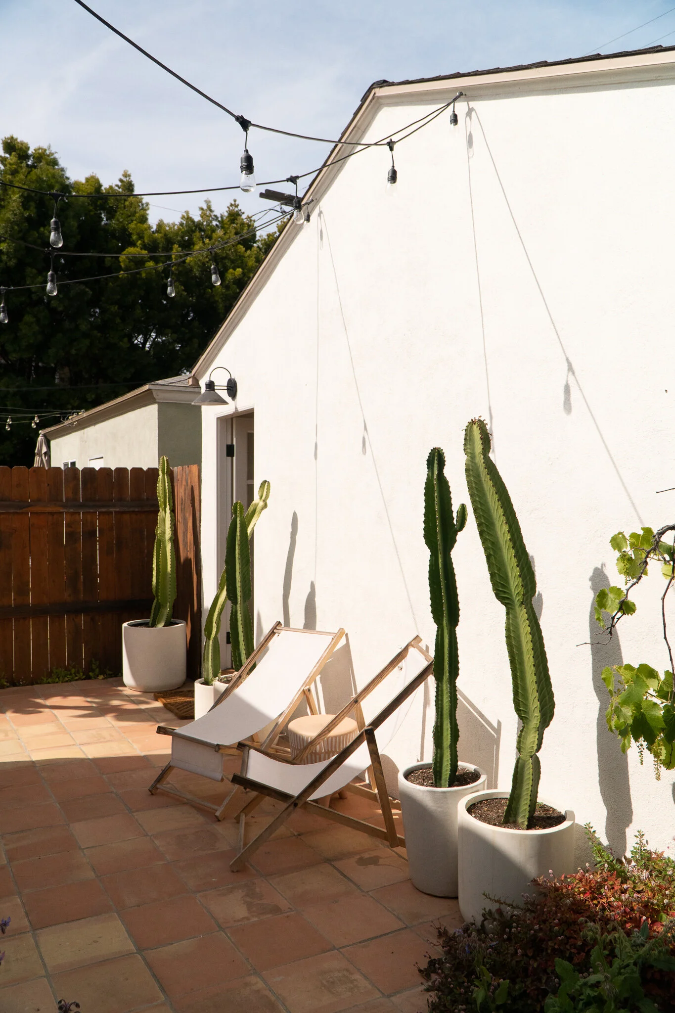 2021-05-01 18.31.23.jpg