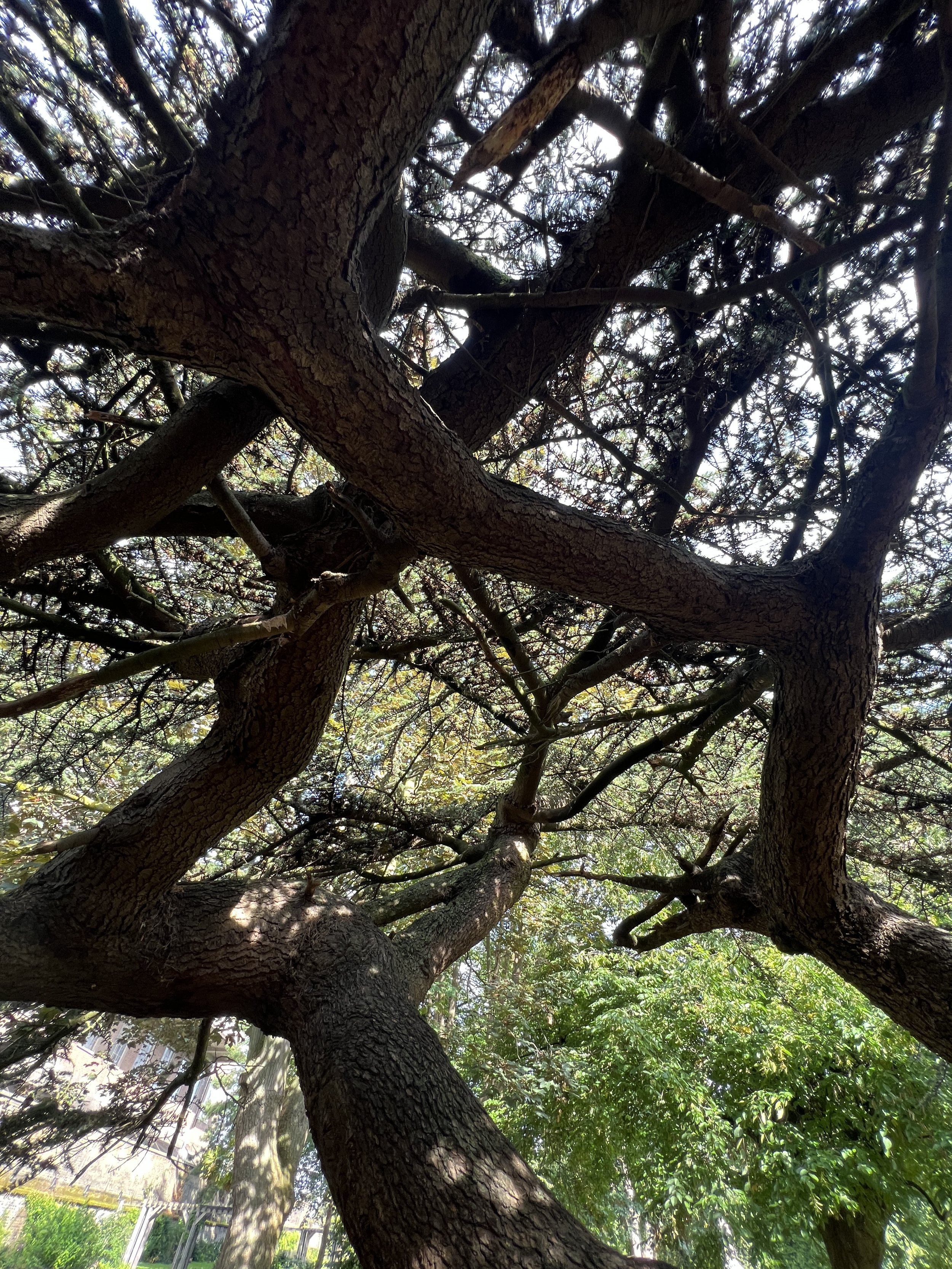 IMG_7245.jpeg