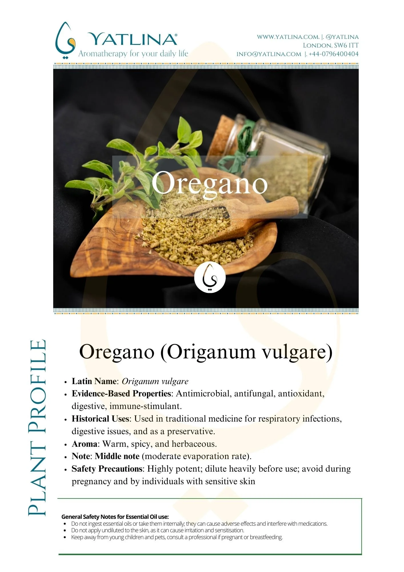 Oregano Origanum vulgare