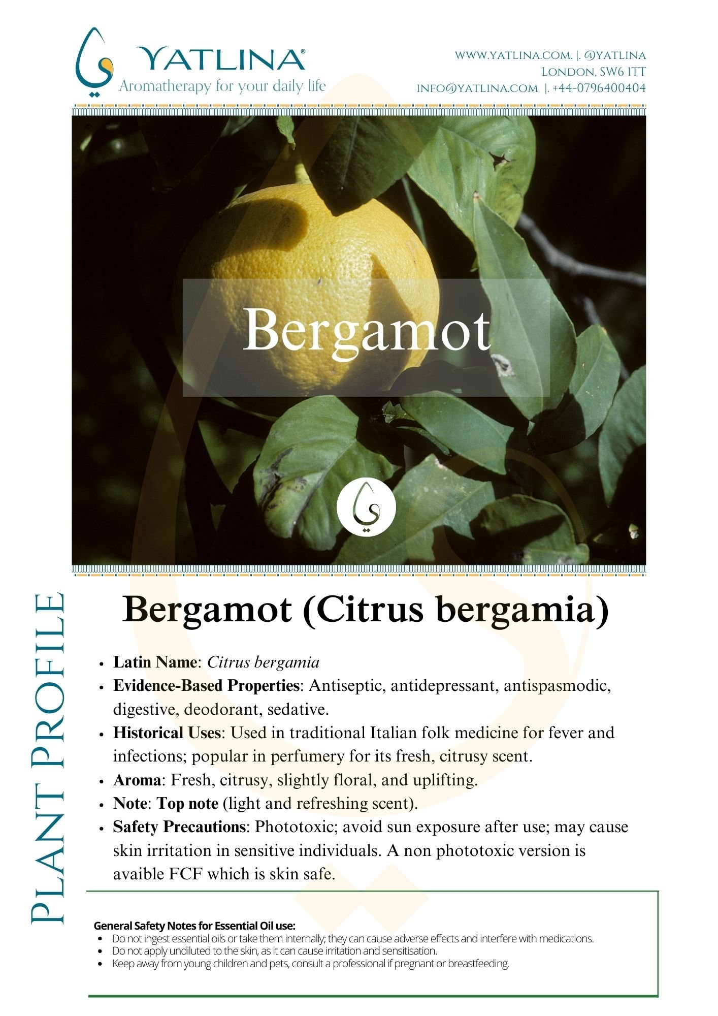 Bergamot