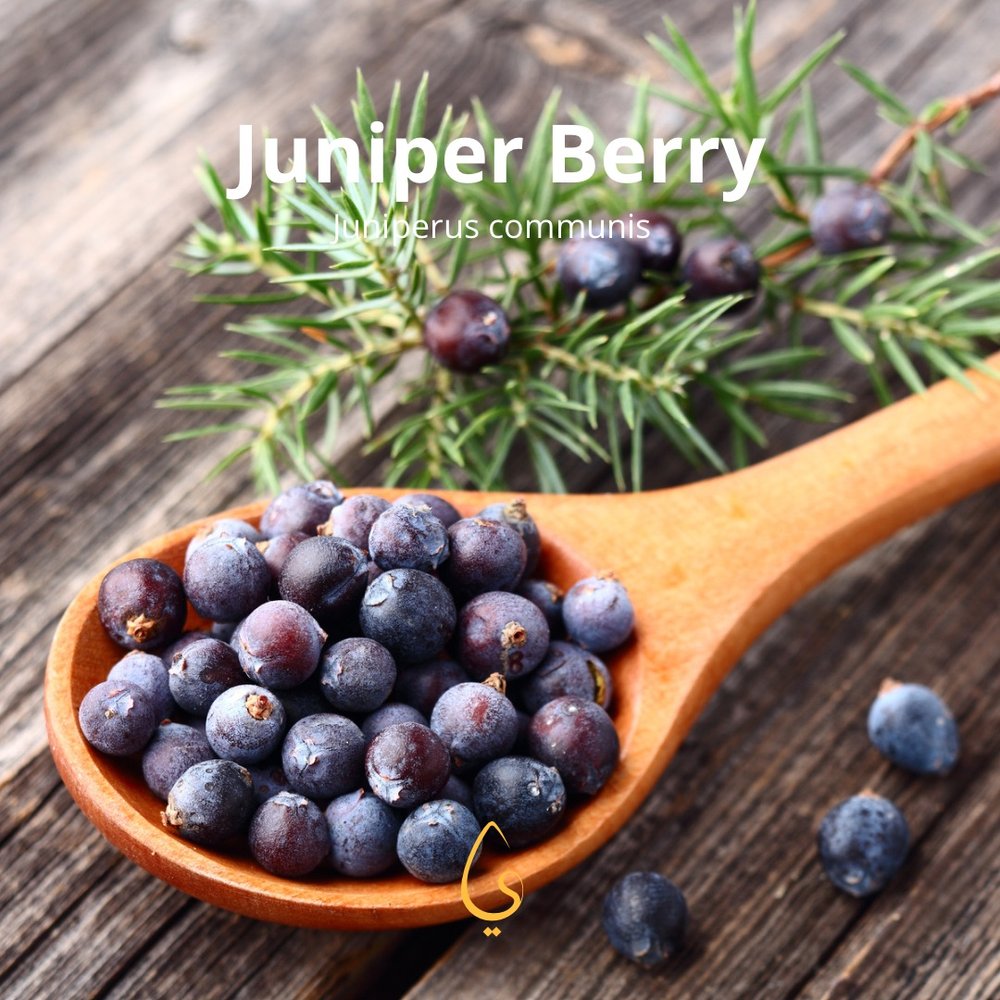 Juniper Berry Pure Essential oil 5ml
