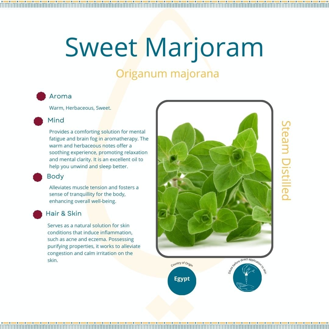 Premium Select Oil profiles square - Sweet Marjoram Profile (2).jpeg
