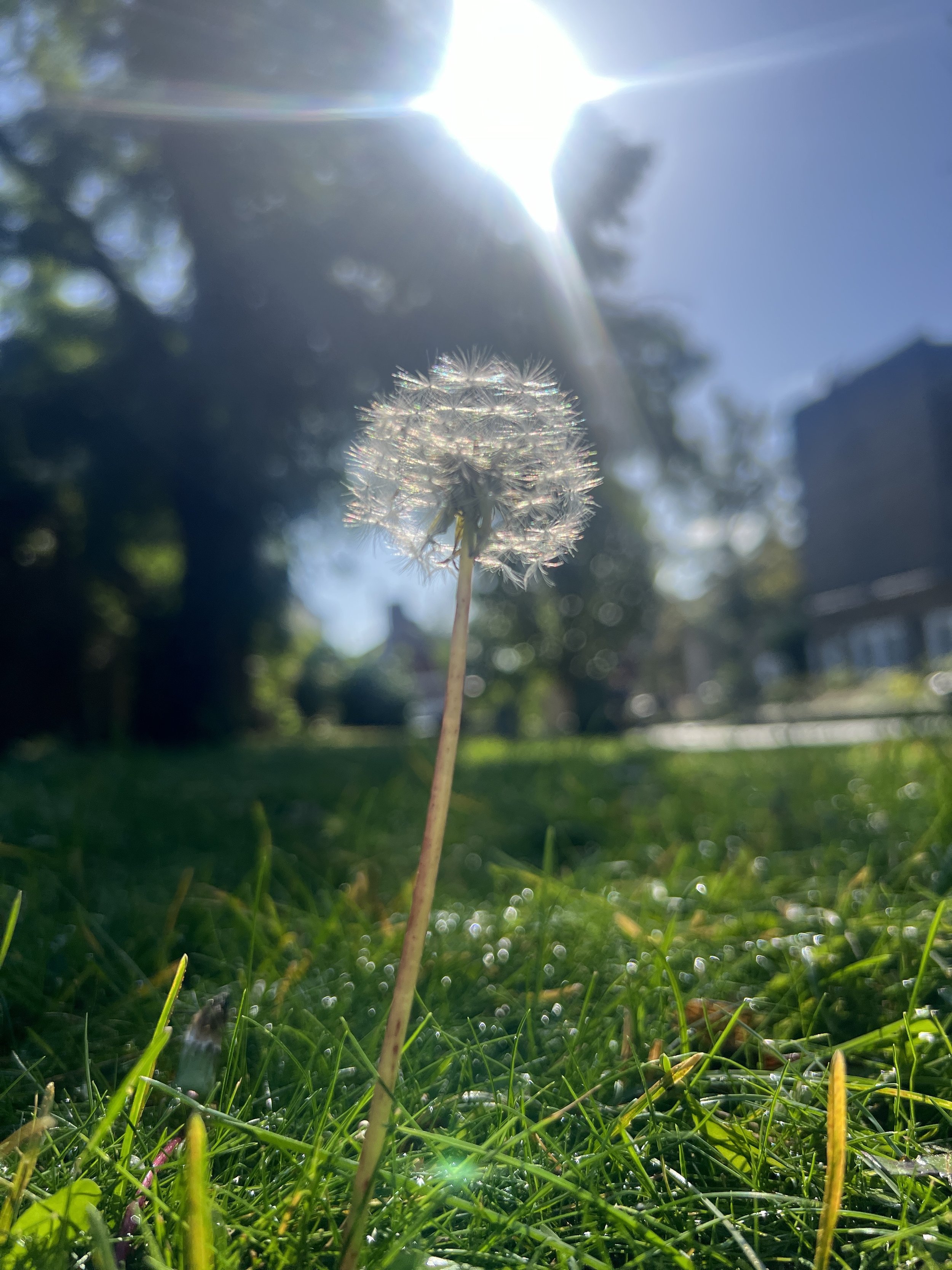 IMG_8167.jpeg
