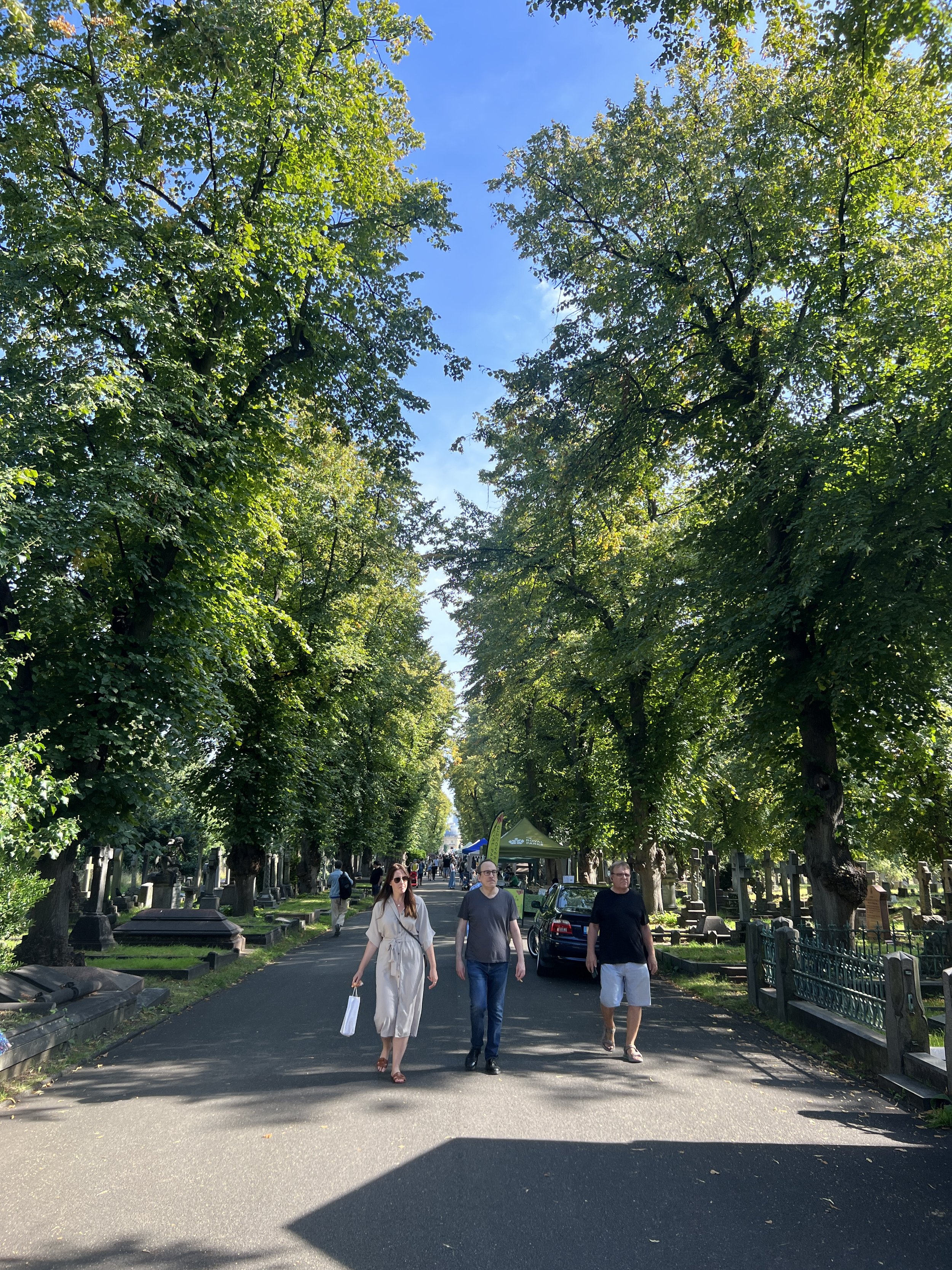 IMG_7568.jpeg