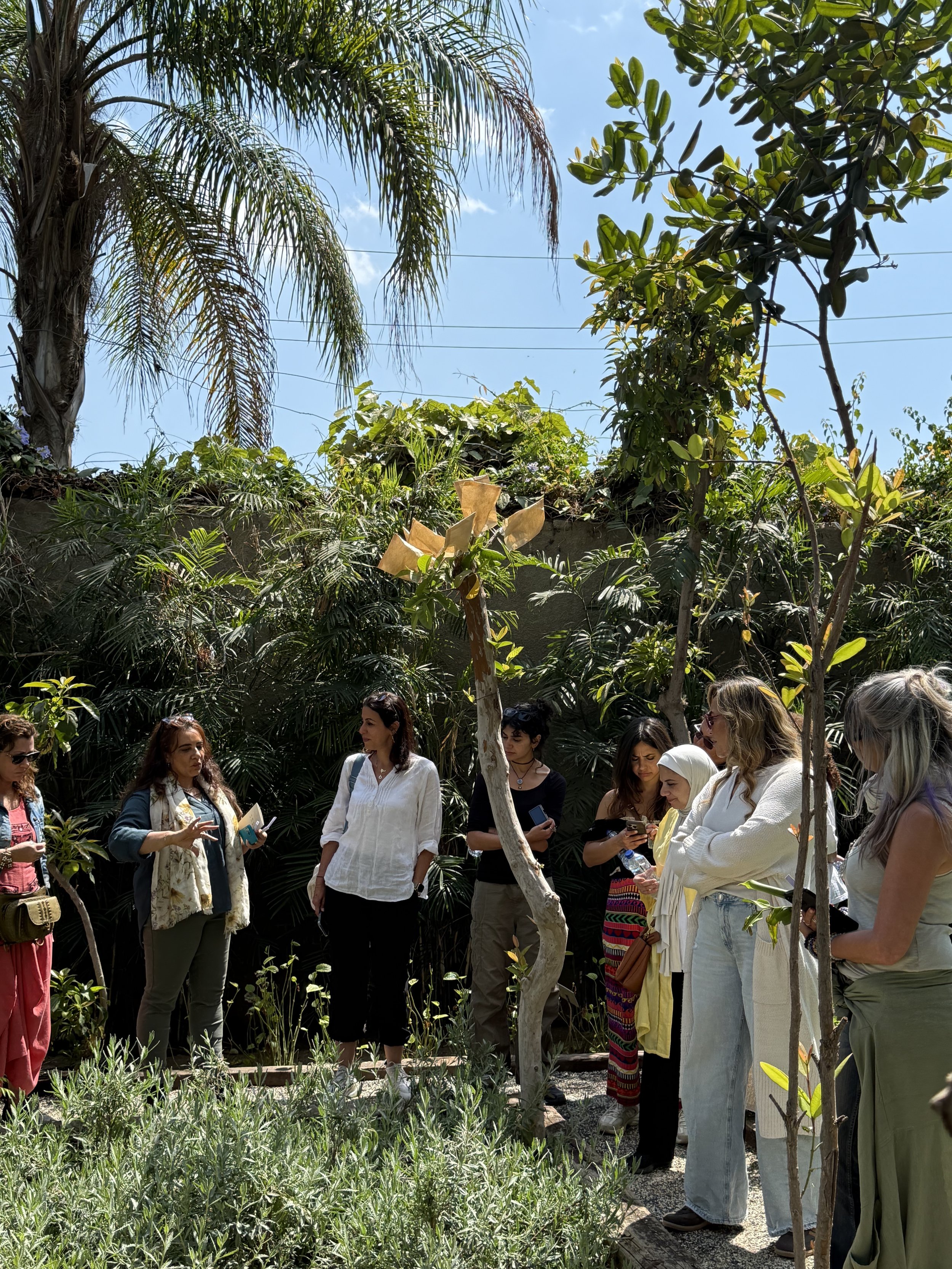 Alchemy of Plants workshop Spring garden walk with yasmine elghamrawy