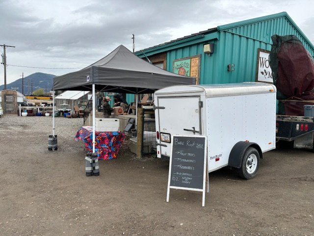 Bare root popup at Woods Rose Market!