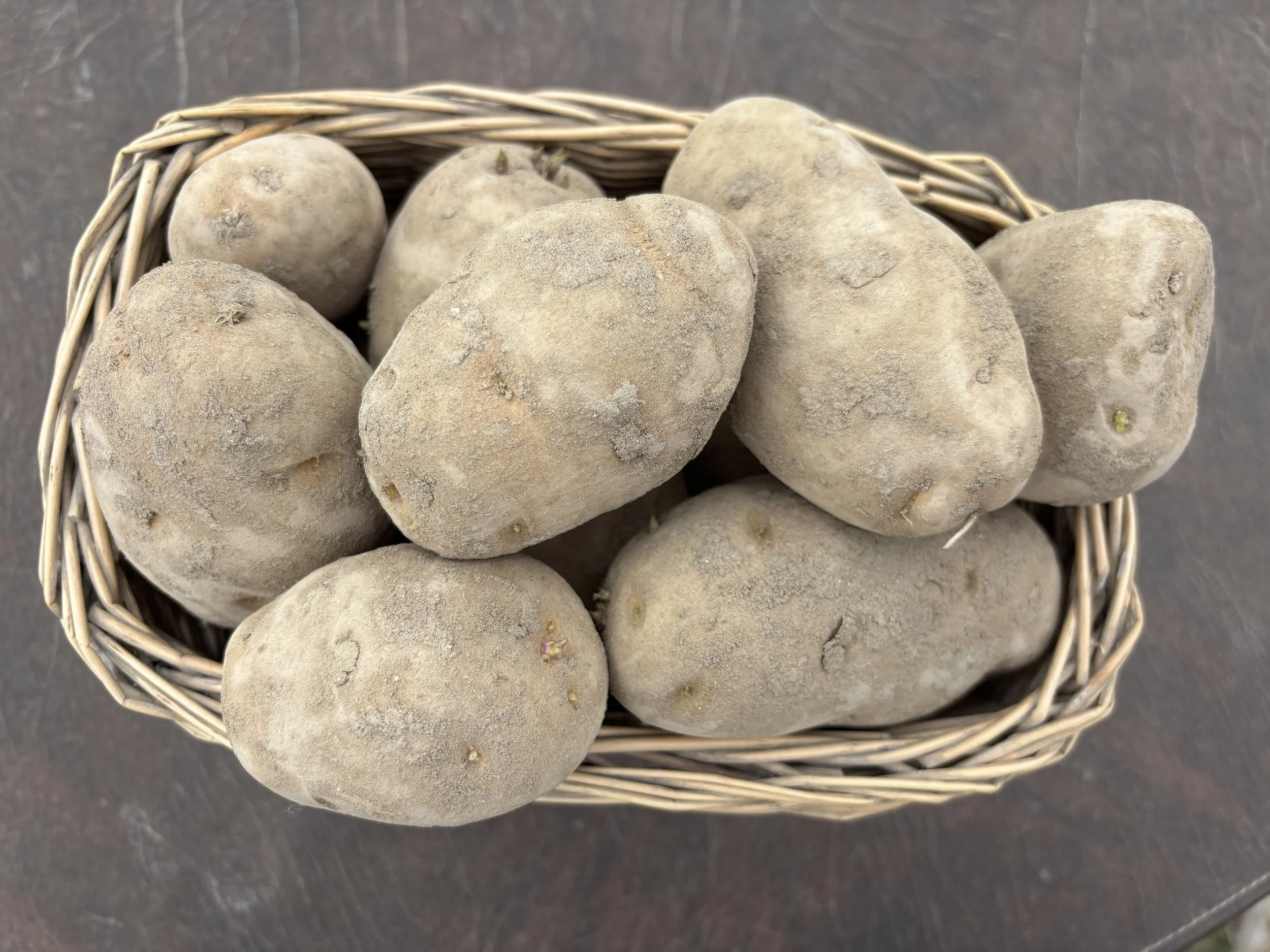 Russet Burbank Seed Potatoes