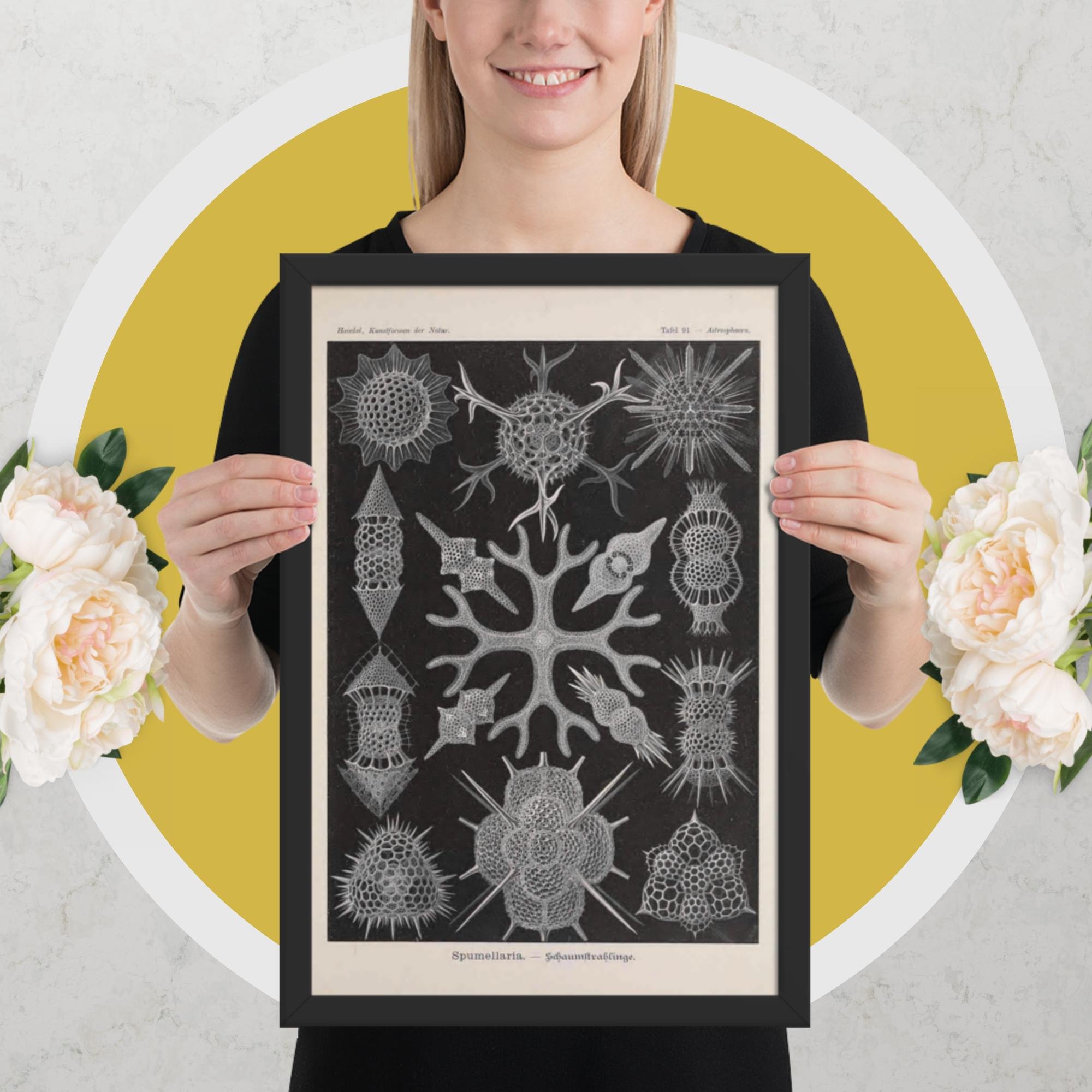 enhanced-matte-paper-framed-poster-(in)-black-12x18-person-682aa9186f78a.jpg