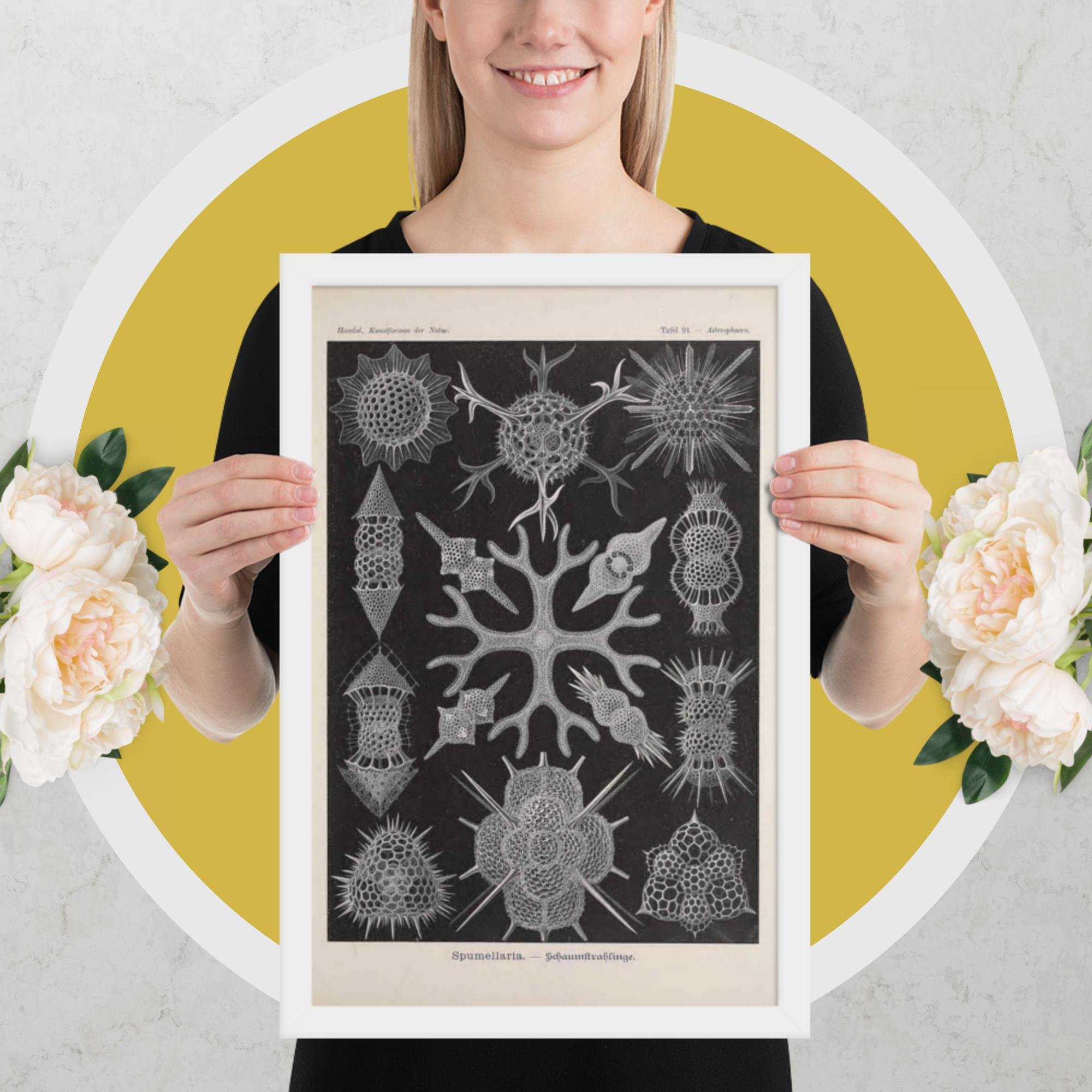 enhanced-matte-paper-framed-poster-(in)-white-12x18-person-682aa918714ac.jpg