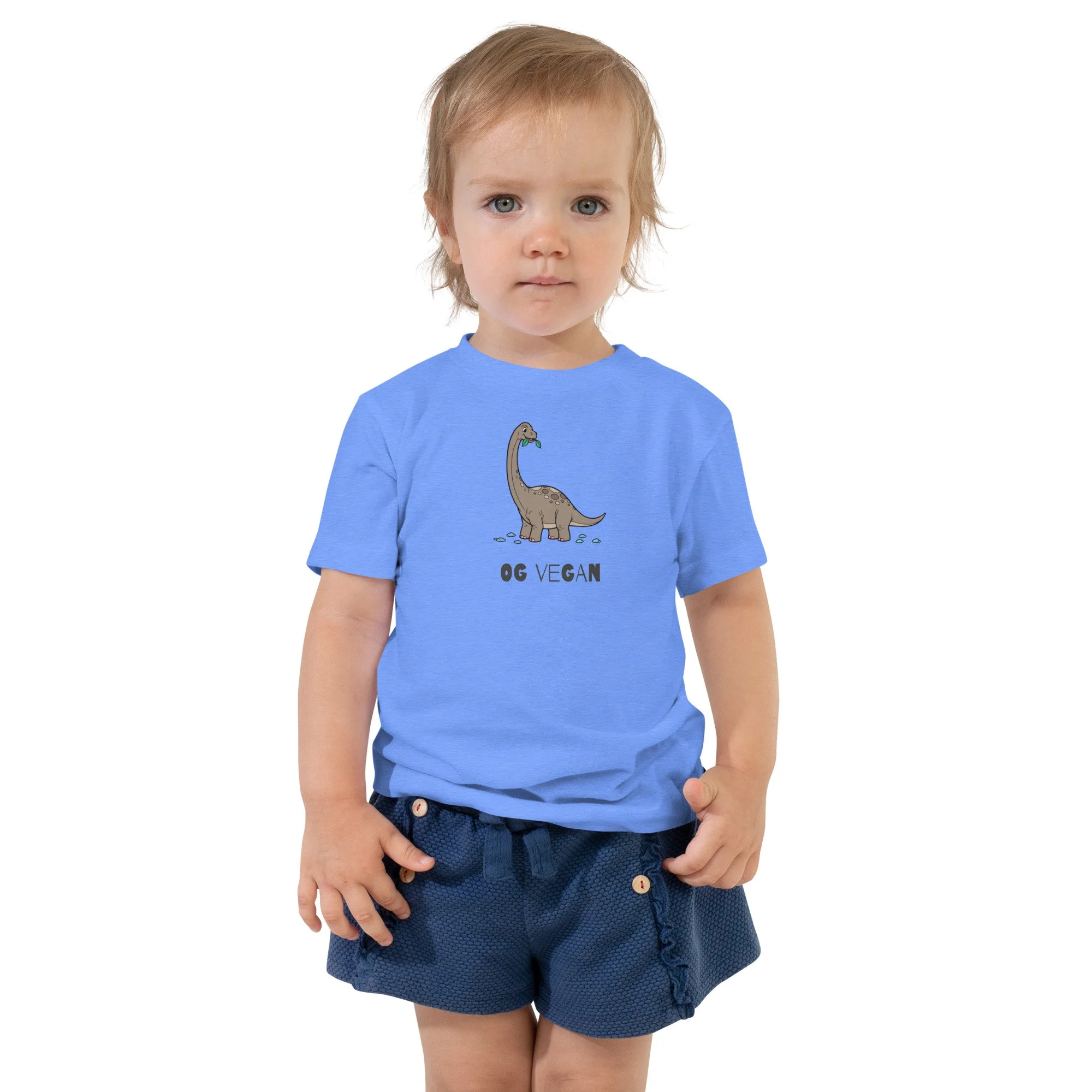 toddler-staple-tee-heather-columbia-blue-front-695f395bbc878.jpg
