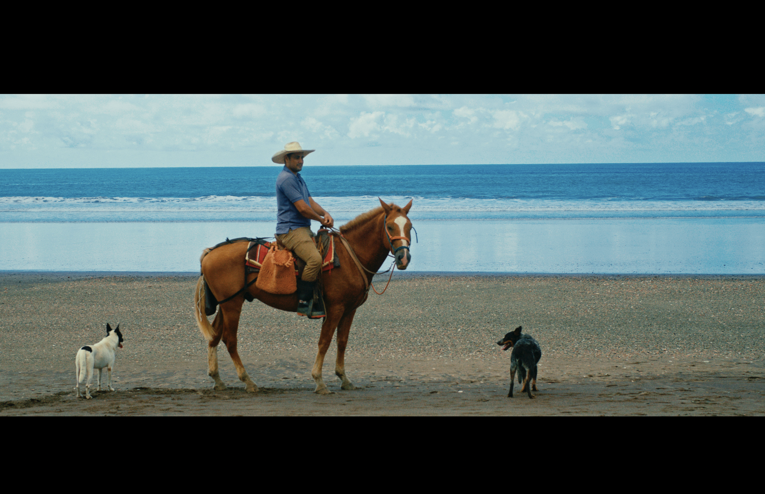 Screen Shot 2022-08-29 at 4.18.14 PM.png