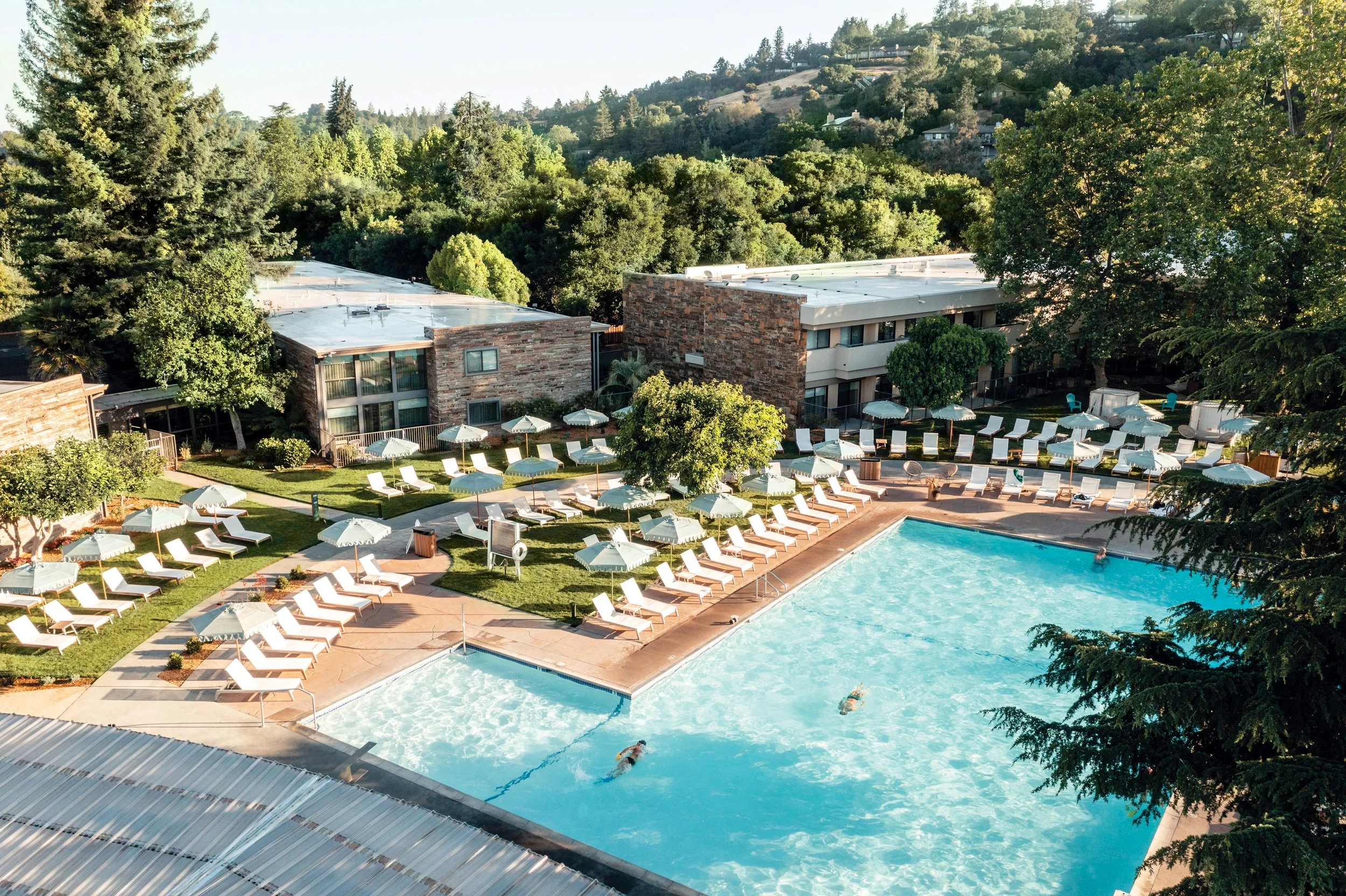 Flamingo-pool-drone-retouch.jpg