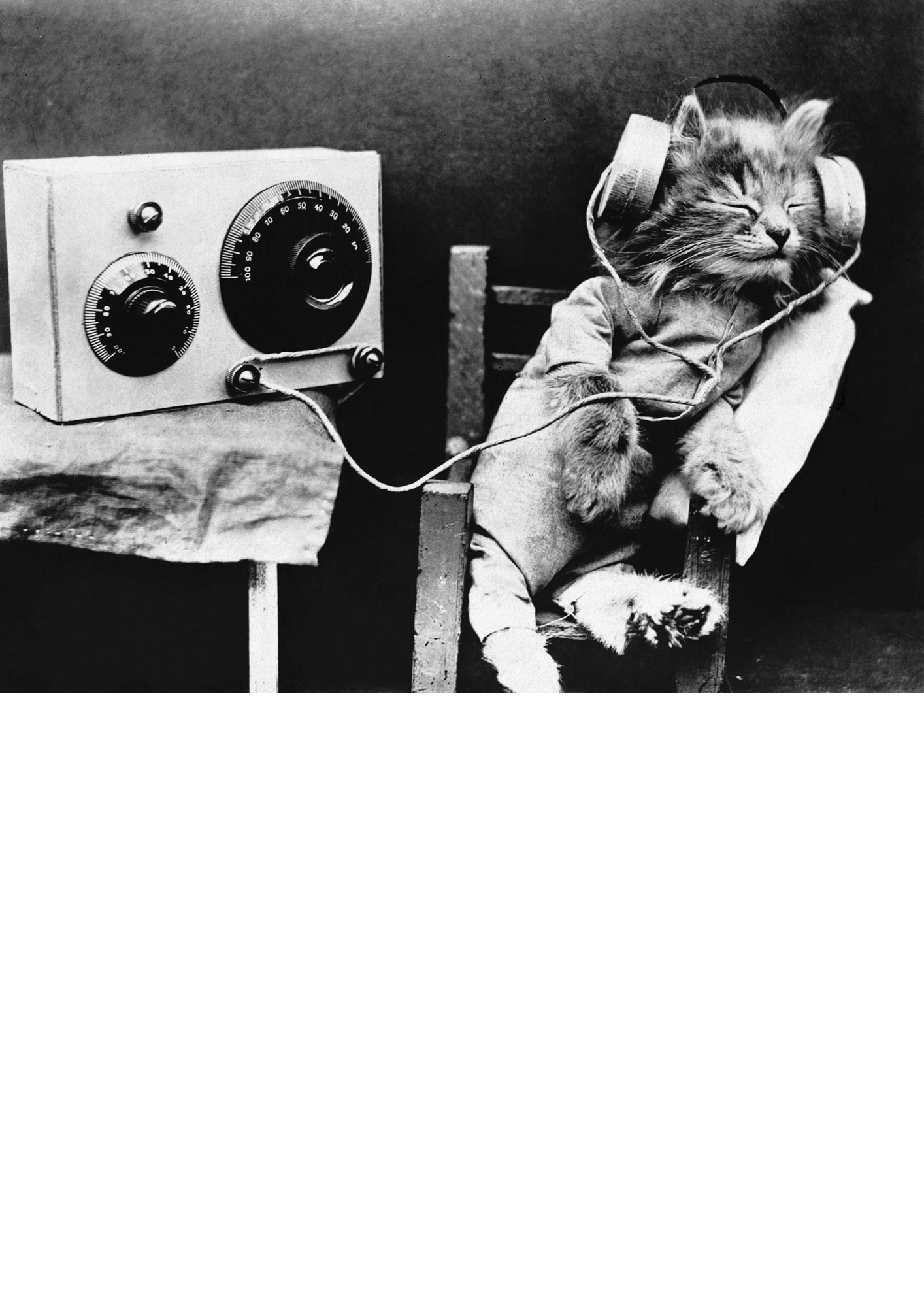 What Inclines us to Appreciate Music?